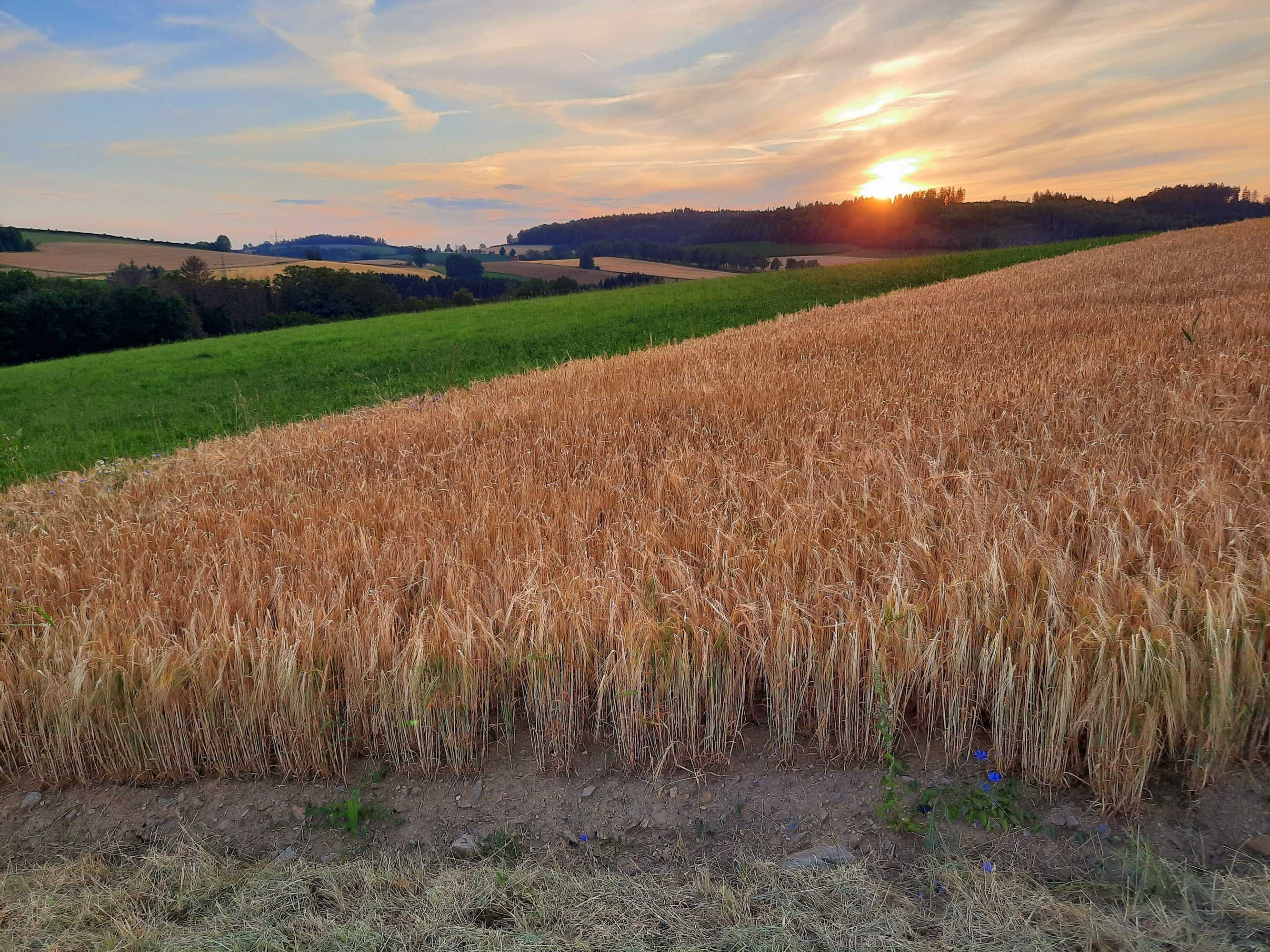 Gift card for Hotel Blüchersruh