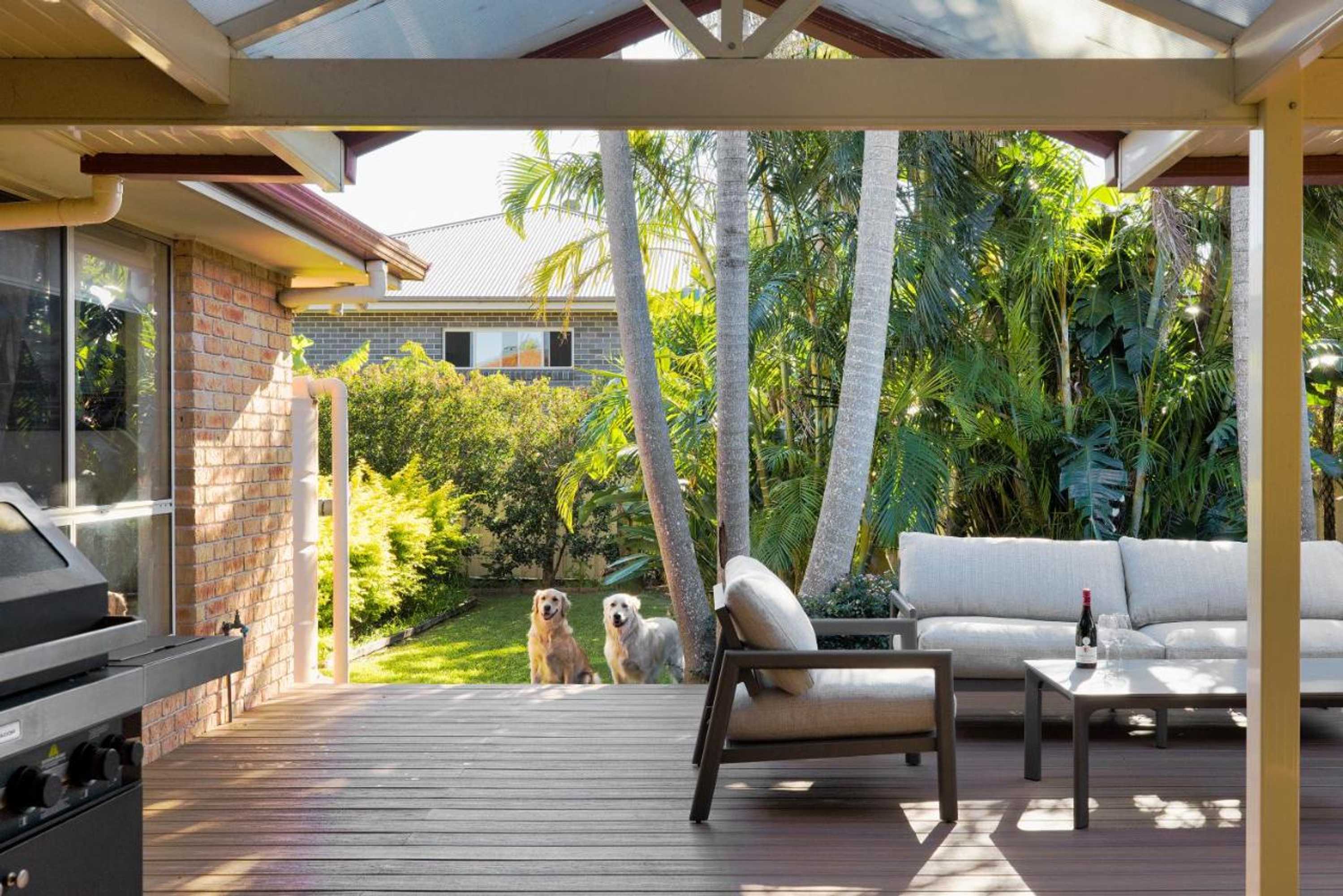 Gift card for Pawprints, 123 Bagnalls Beach Road