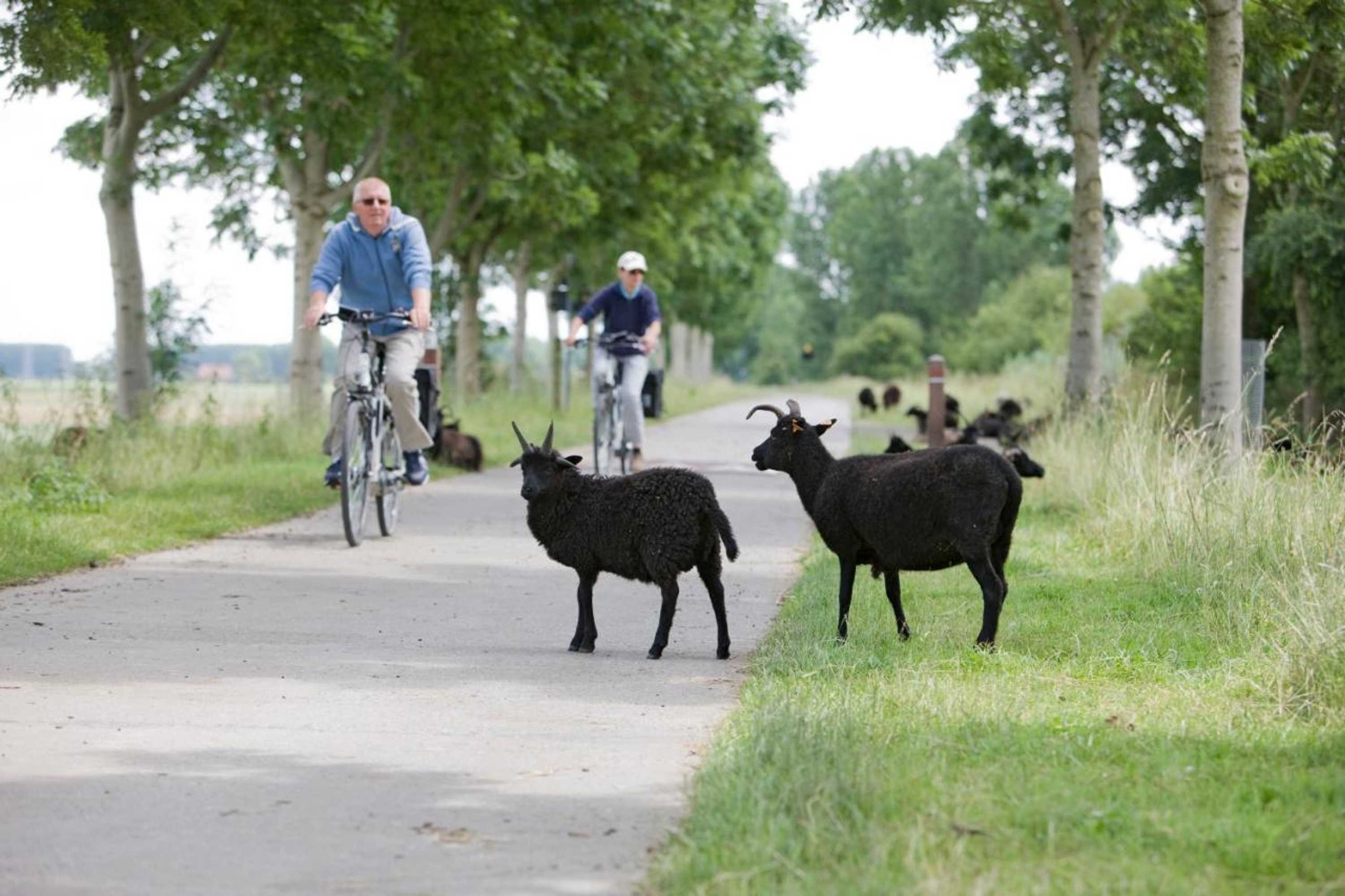 Gift card for B&b 't Heirweggoed