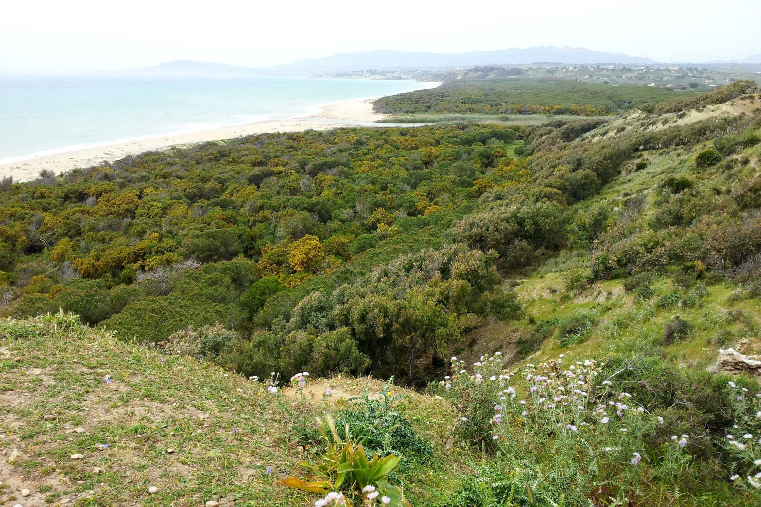 Gift card for Hotel Dei Pini