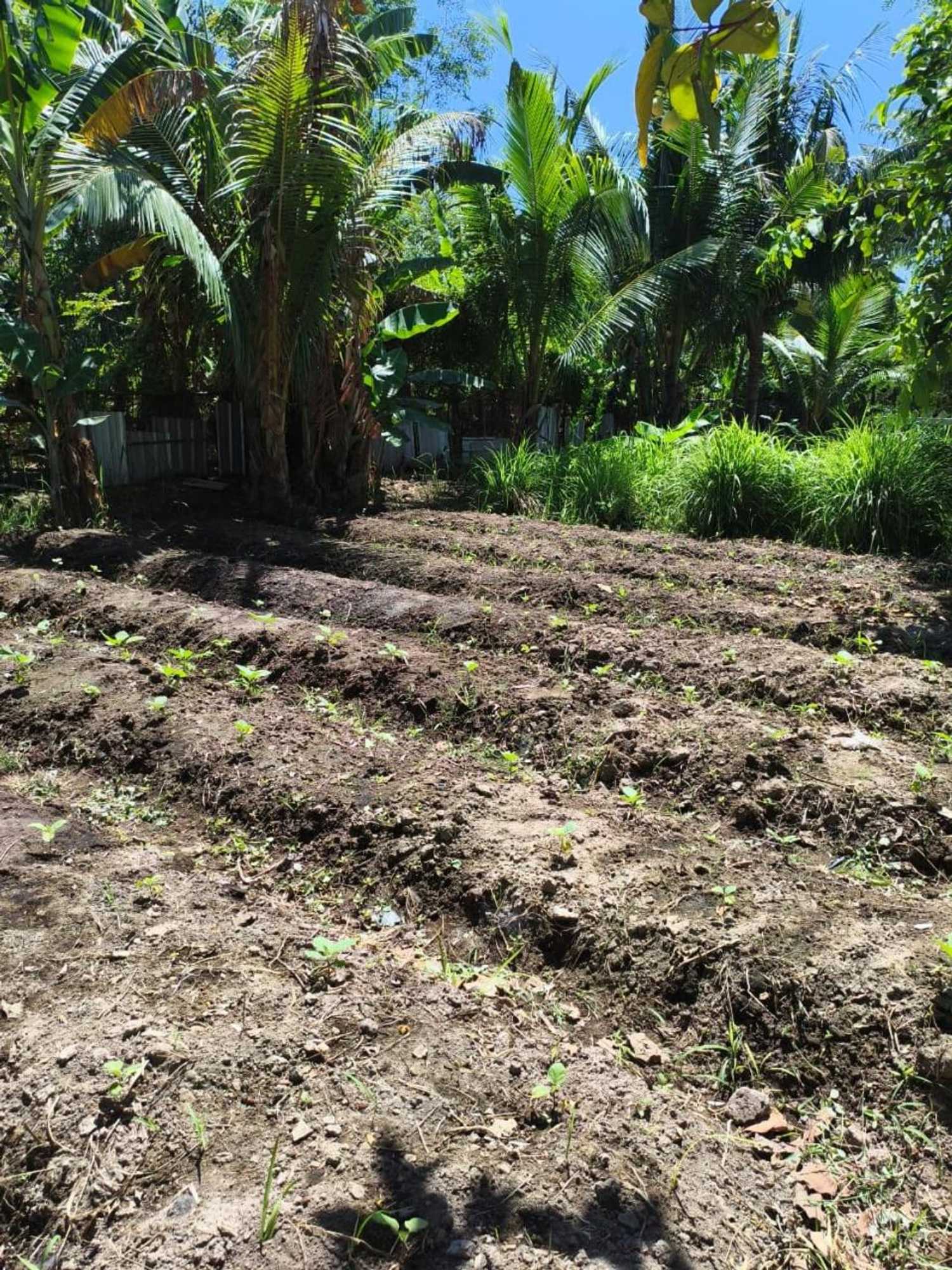 Gift card for Kondo Villa