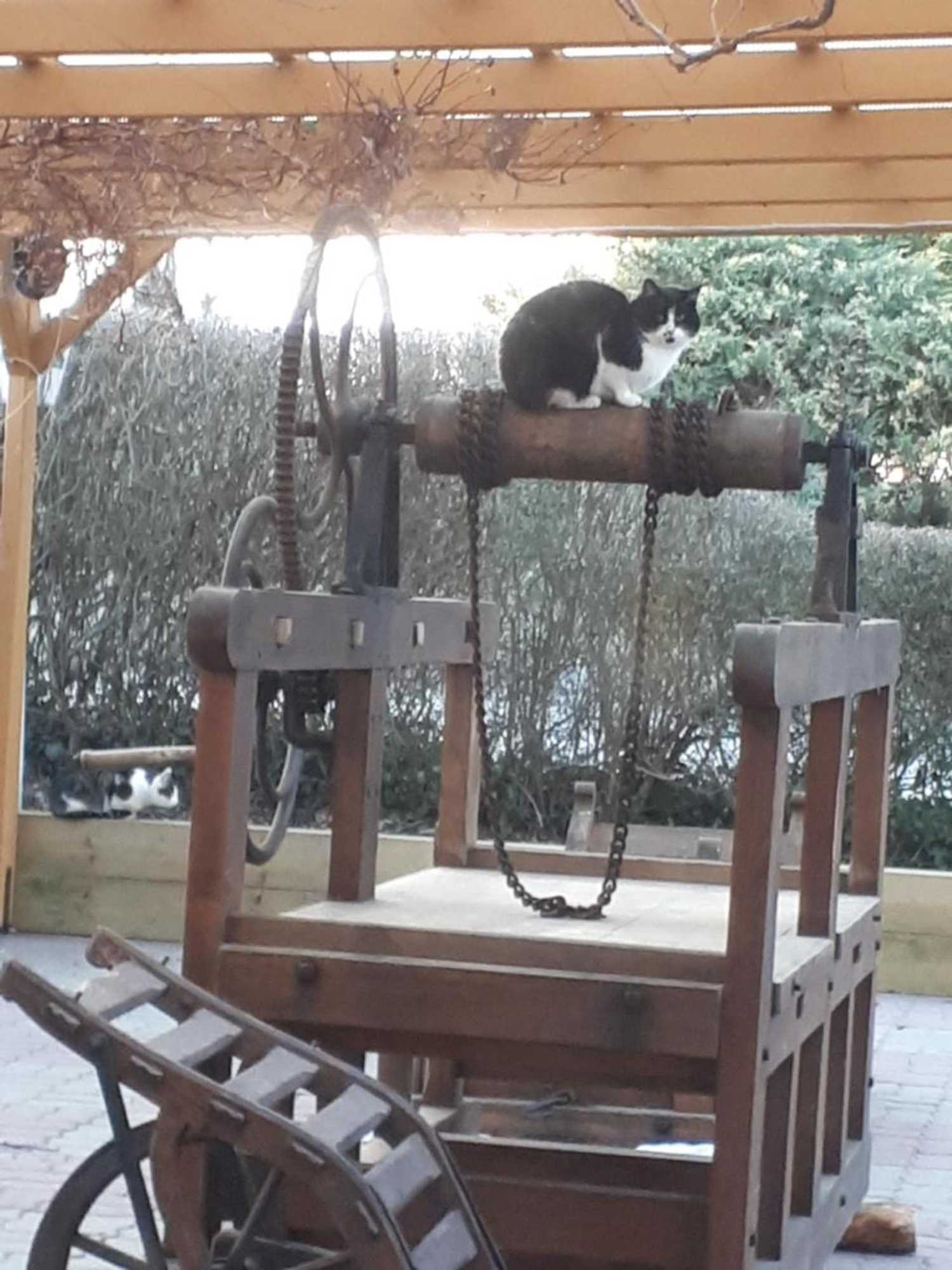 Gift card for Familienhotel Zur Linde