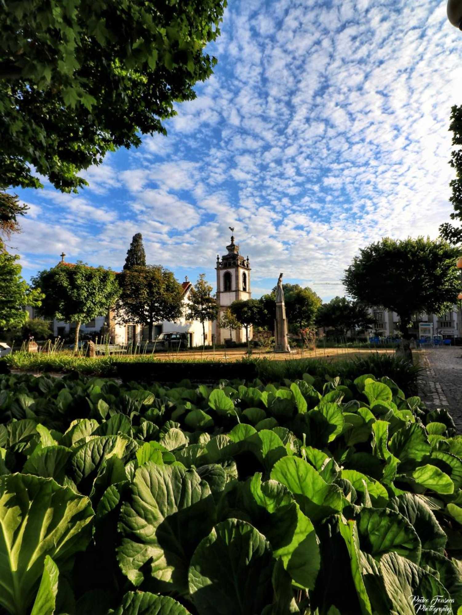 Gift card for Casa Luís de Camões - Boutique & Literary House