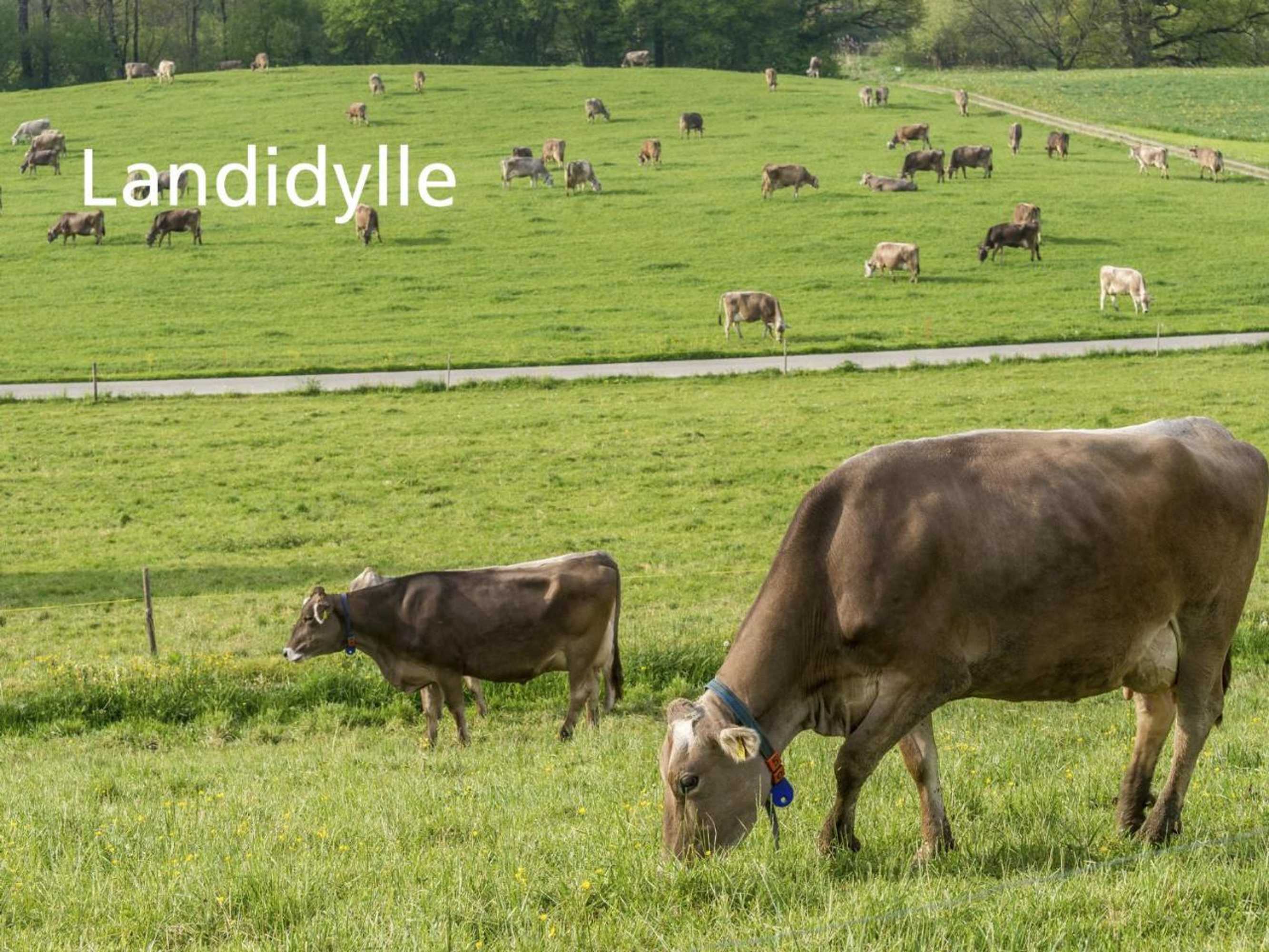 Gift card for Stiftung Kartause Ittingen