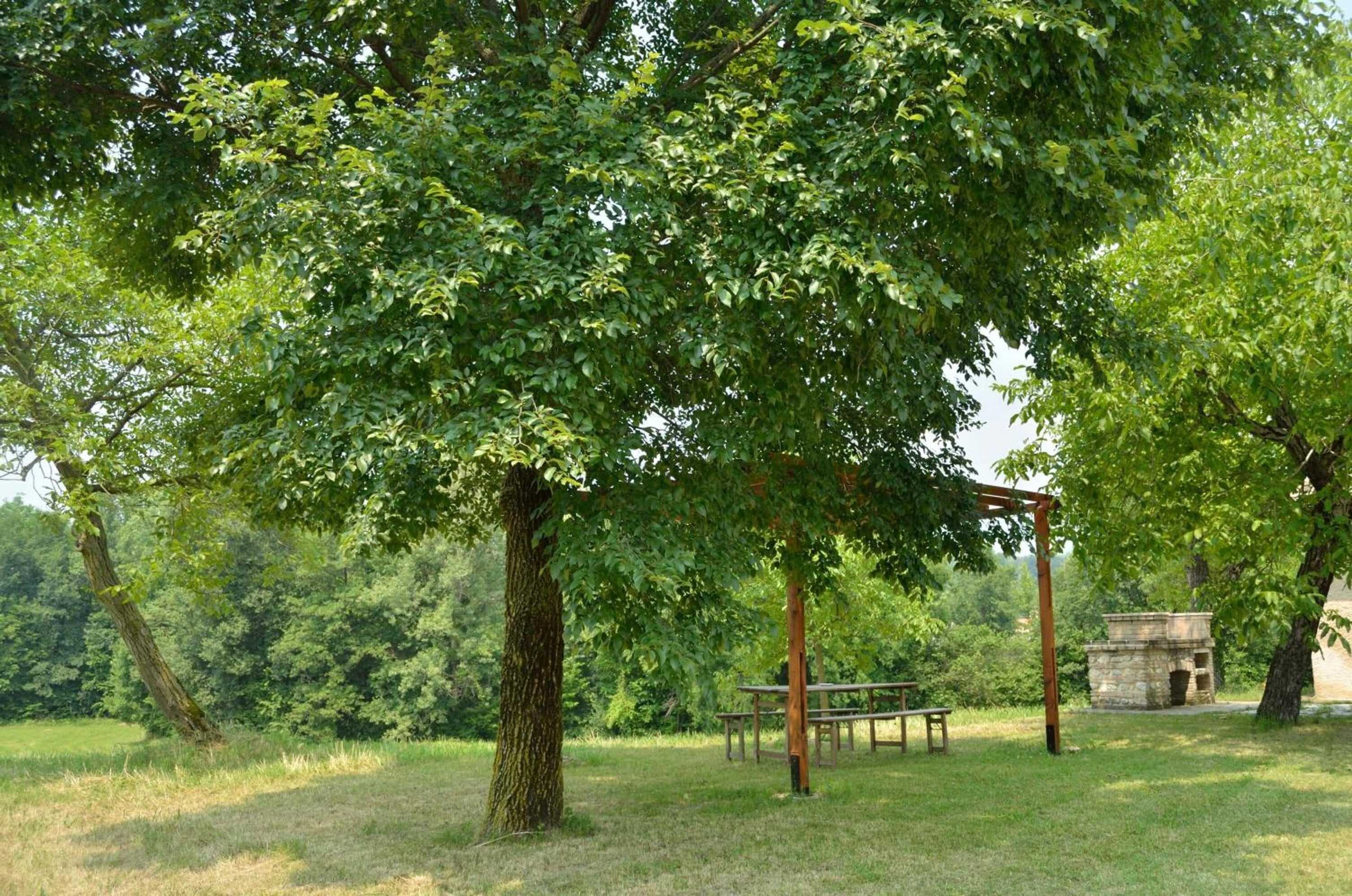 Gift card for Agriturismo Ca' Roer