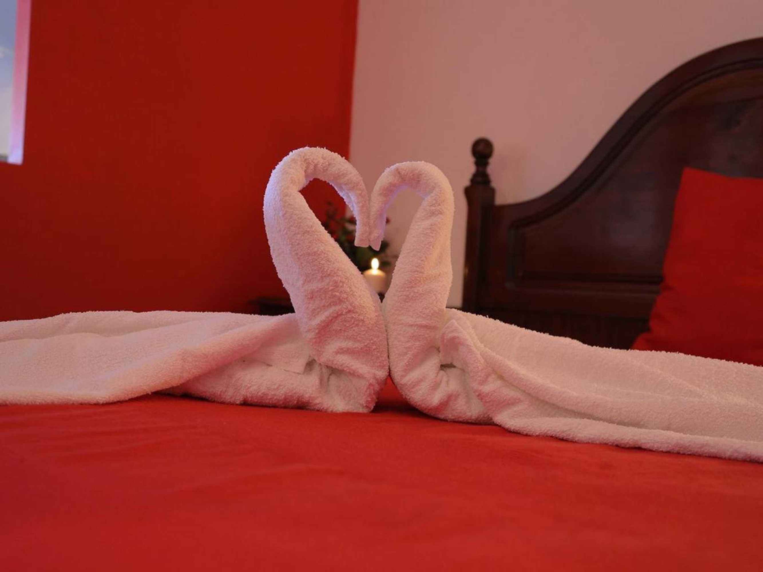 Gift card for Seia Apartamentos Serra da Estrela