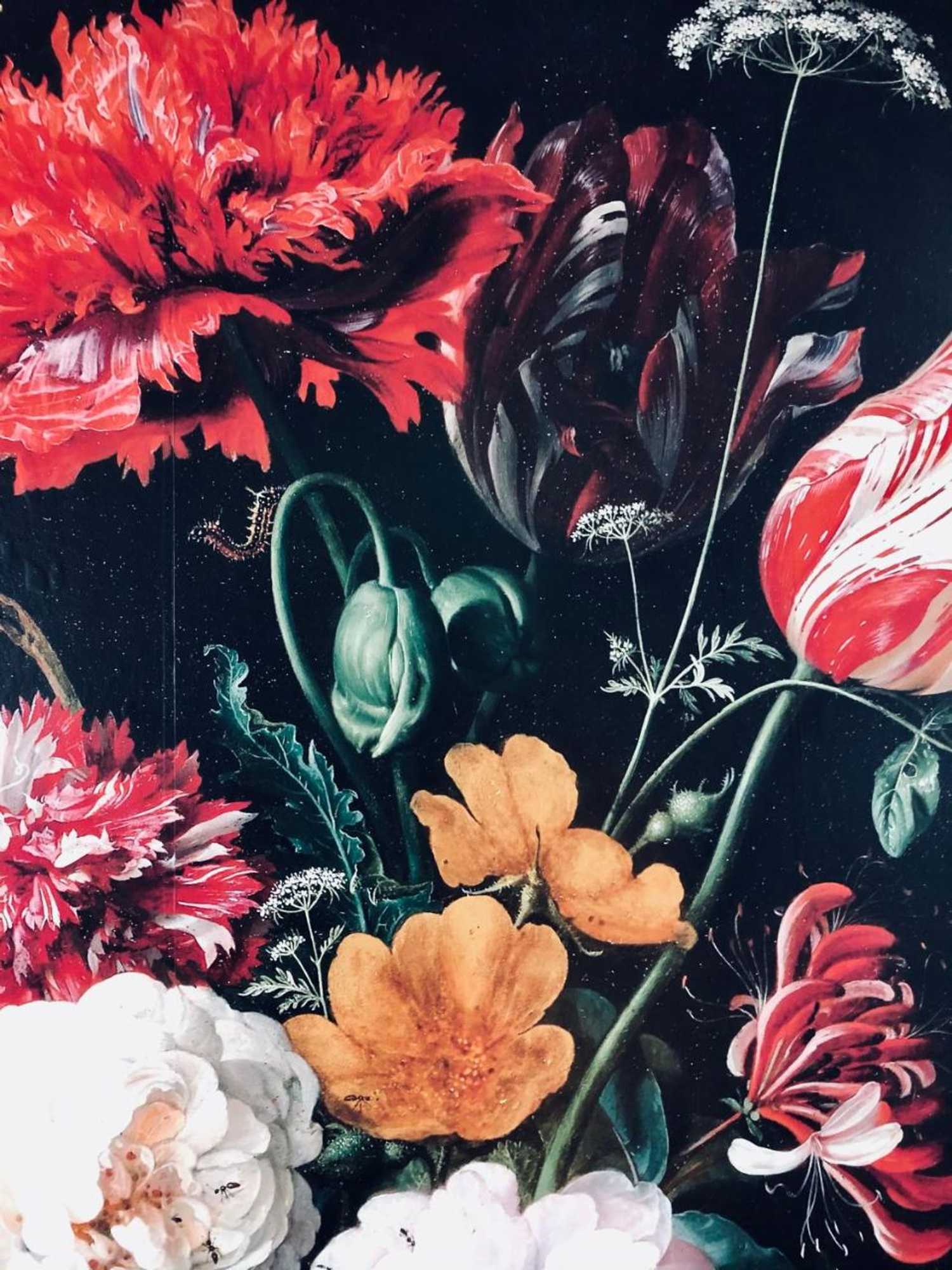 Gift card for Bnb Bruxelles