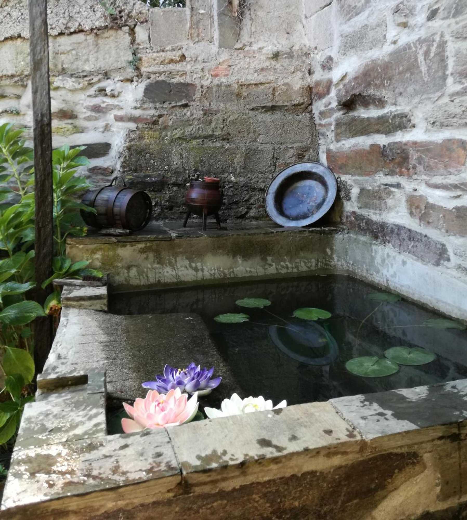 Gift card for O Zé Já Dormiu Aqui