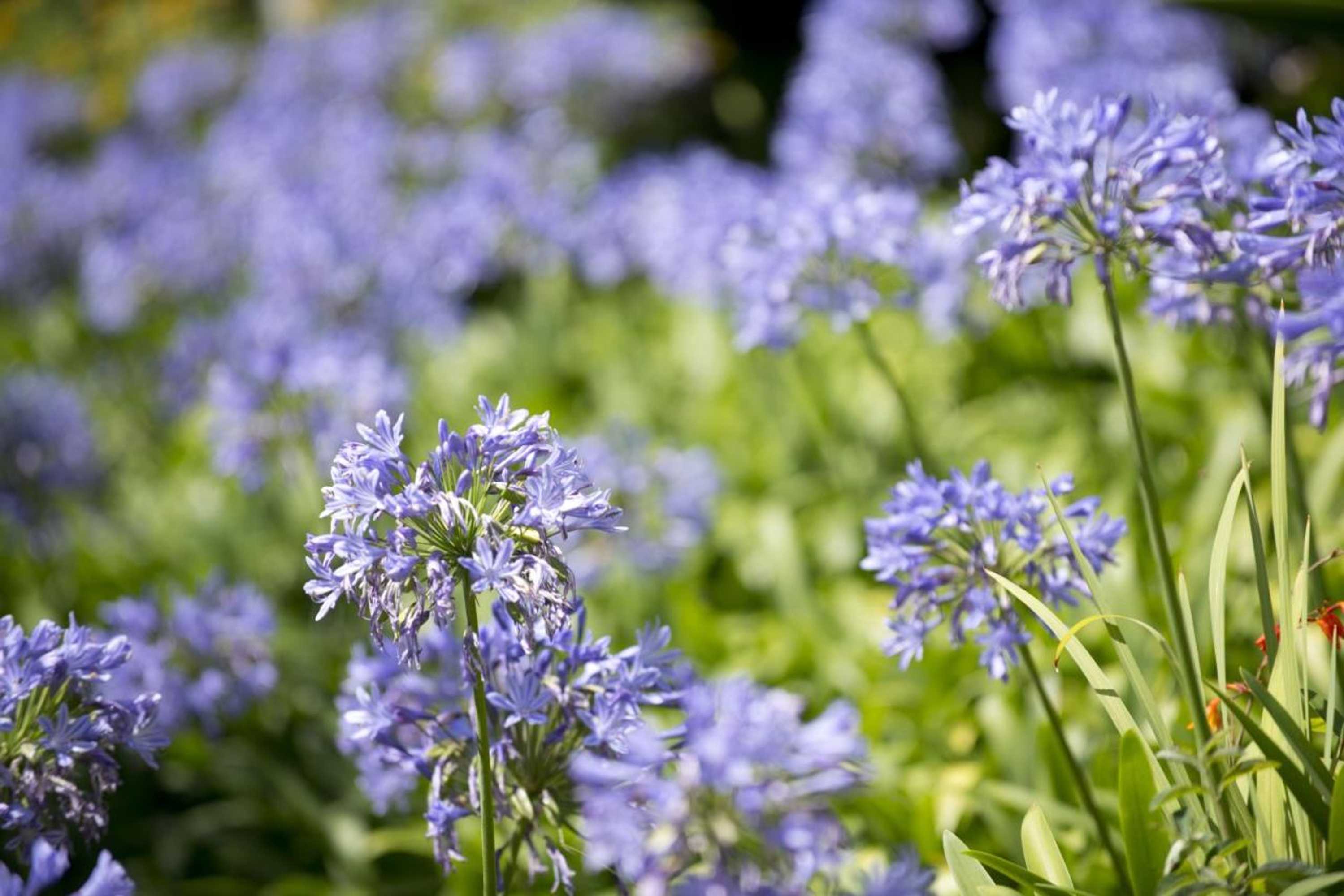 Gift card for Quinta de Valverde