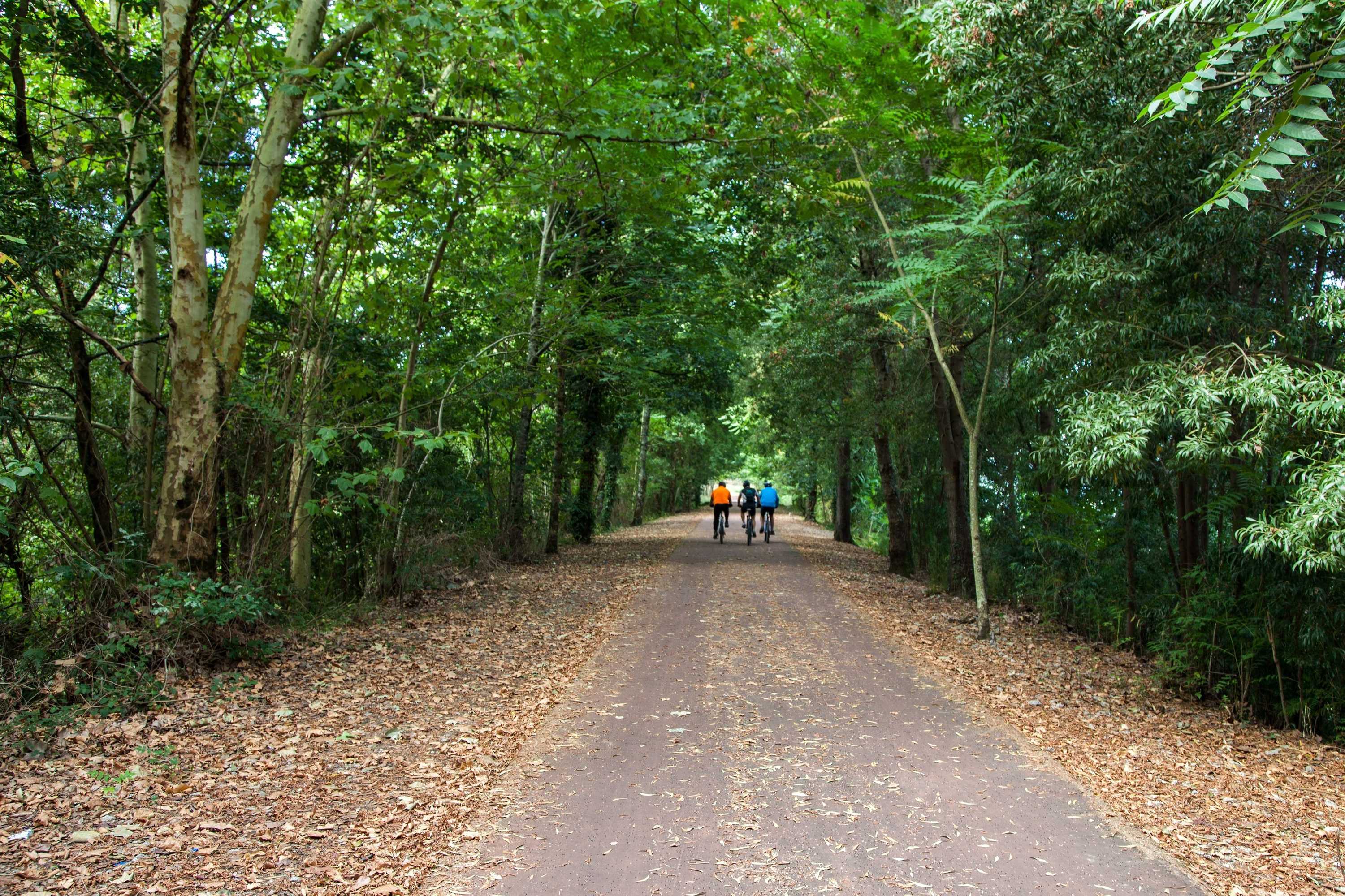 Gift card for Hotel Minho