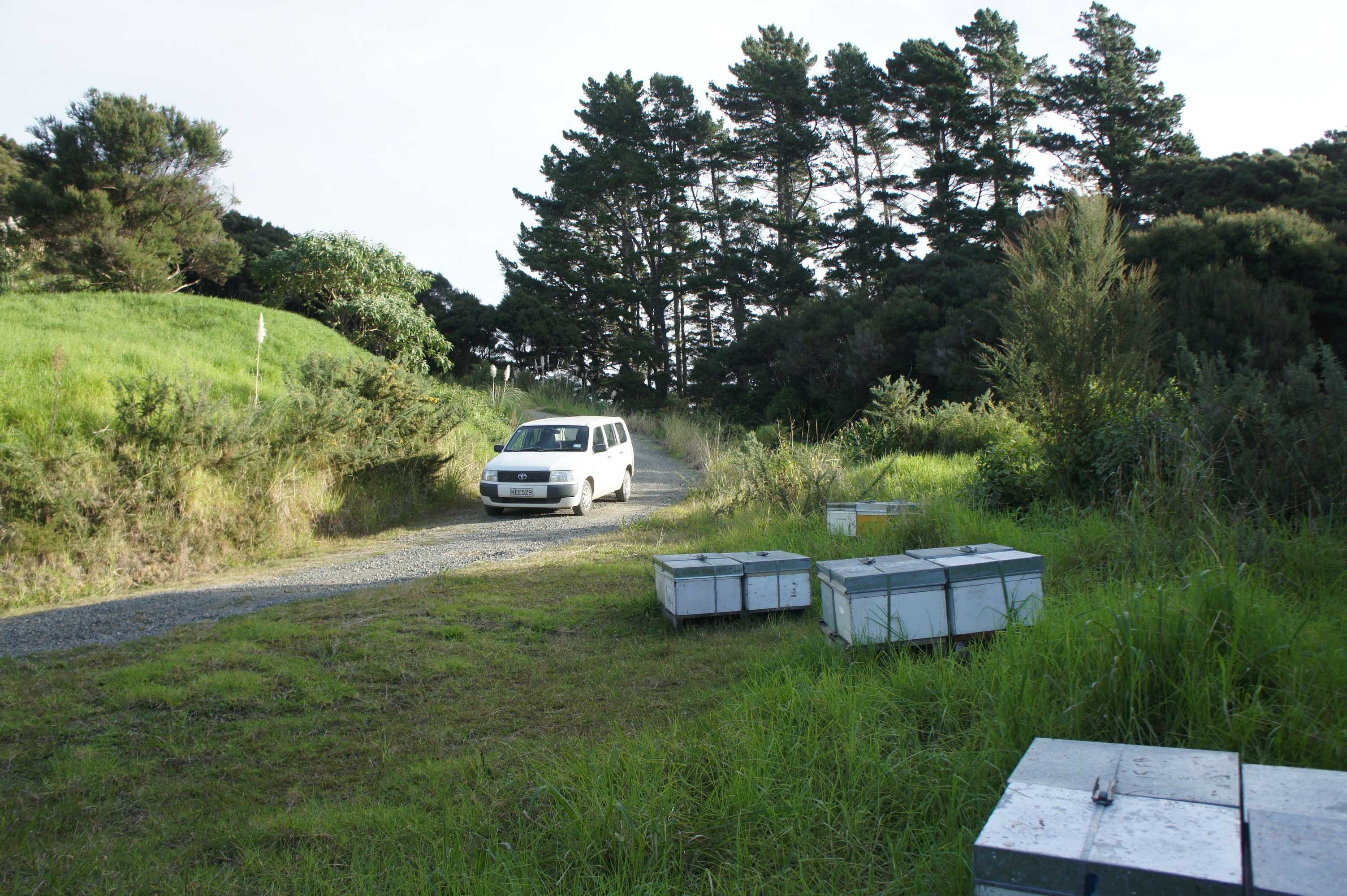 Gift card for La Grange