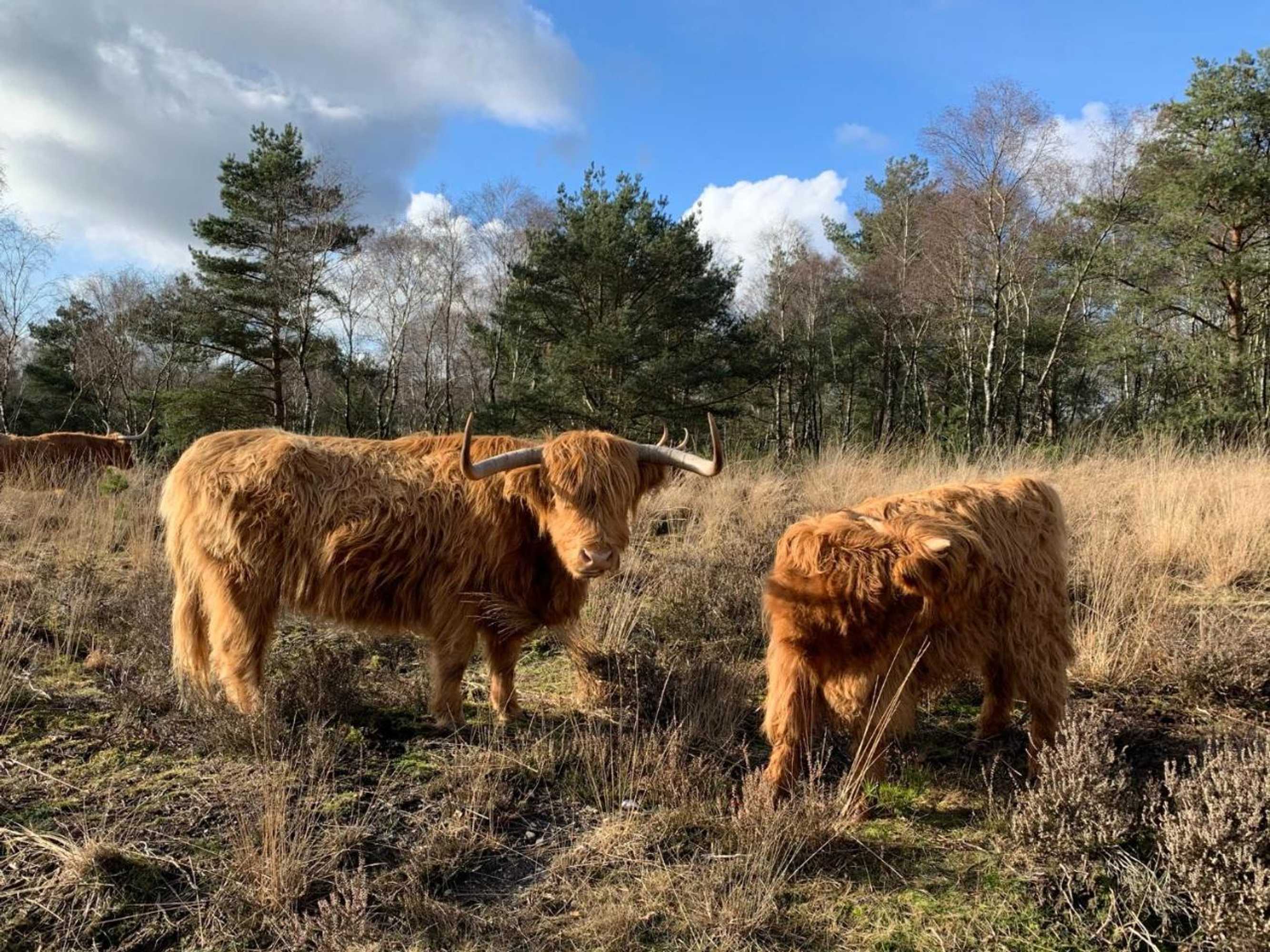 Gift card for Bed And Breakfast De Paalberg