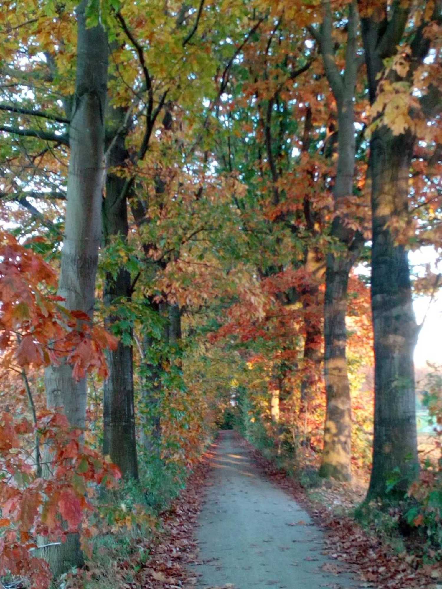 Gift card for Villa Berk en Heide