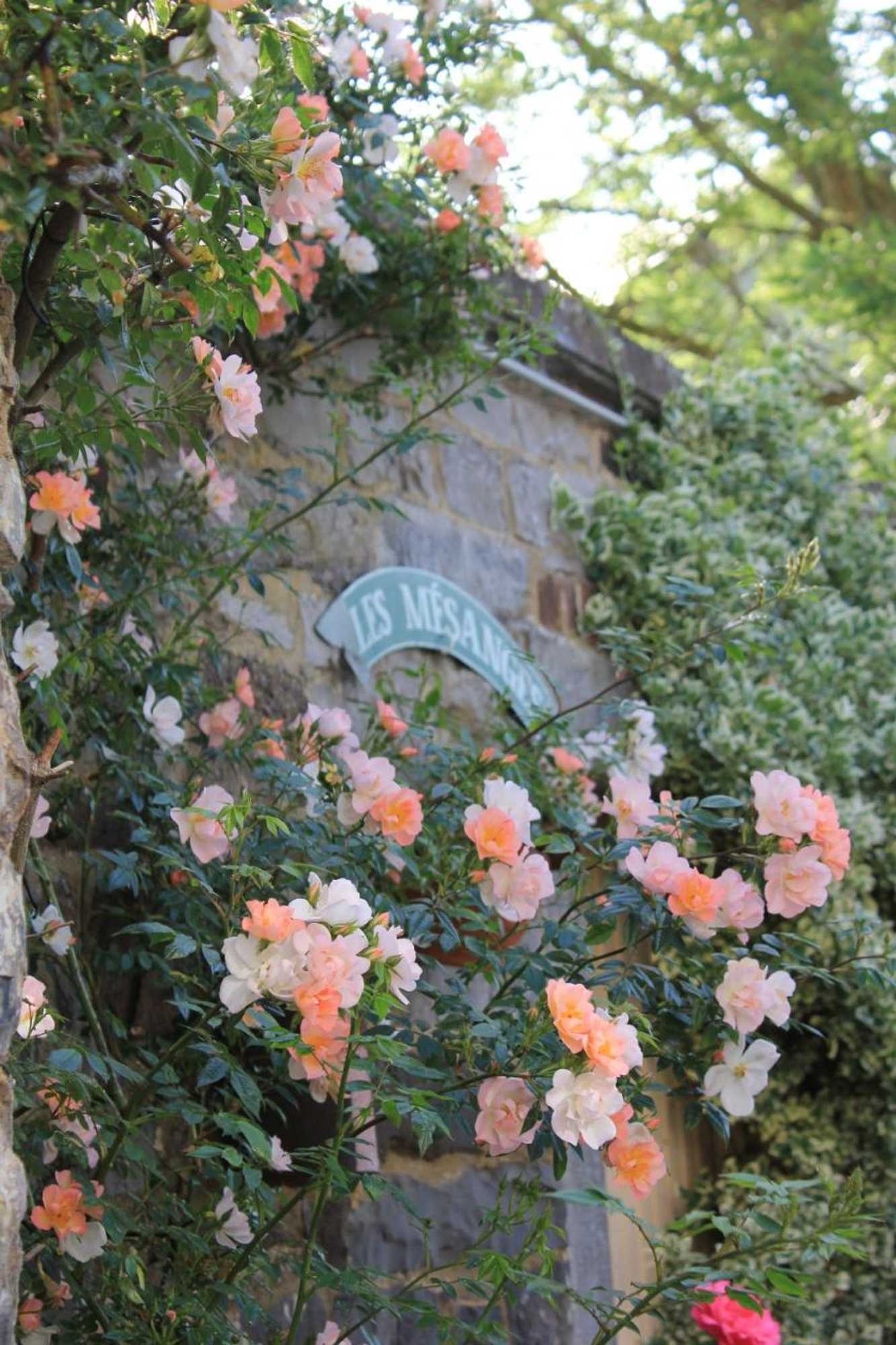 Gift card for La Passiflore B&b