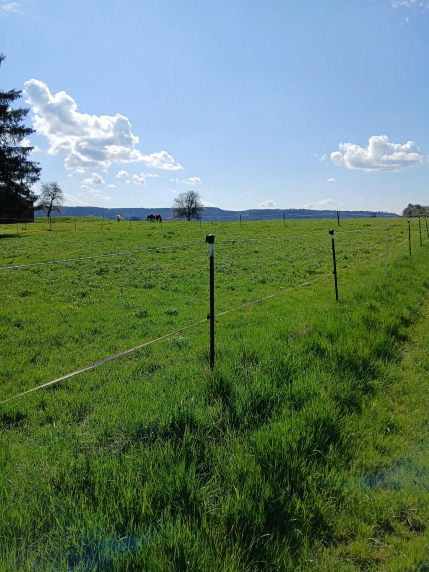 Gift card for Landgasthof Zum Seehof