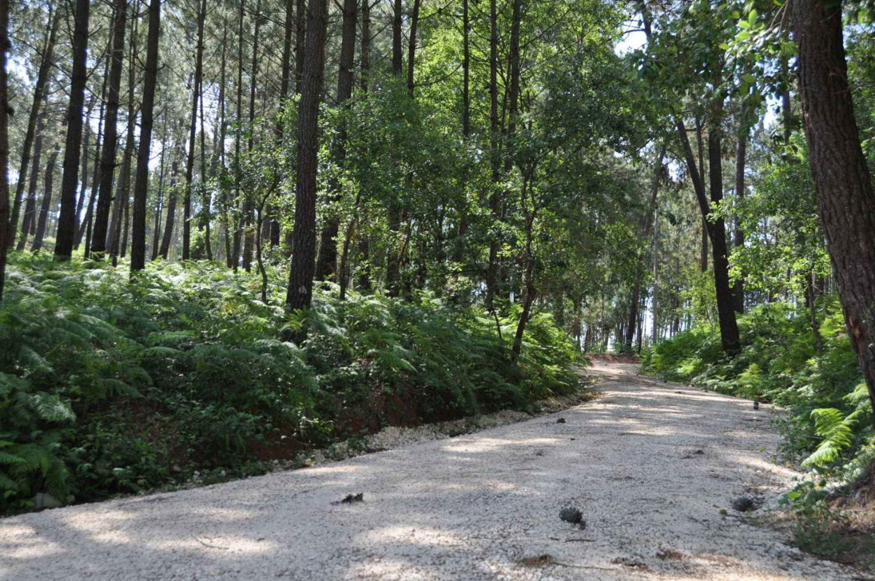 Gift card for Quinta da Serrana