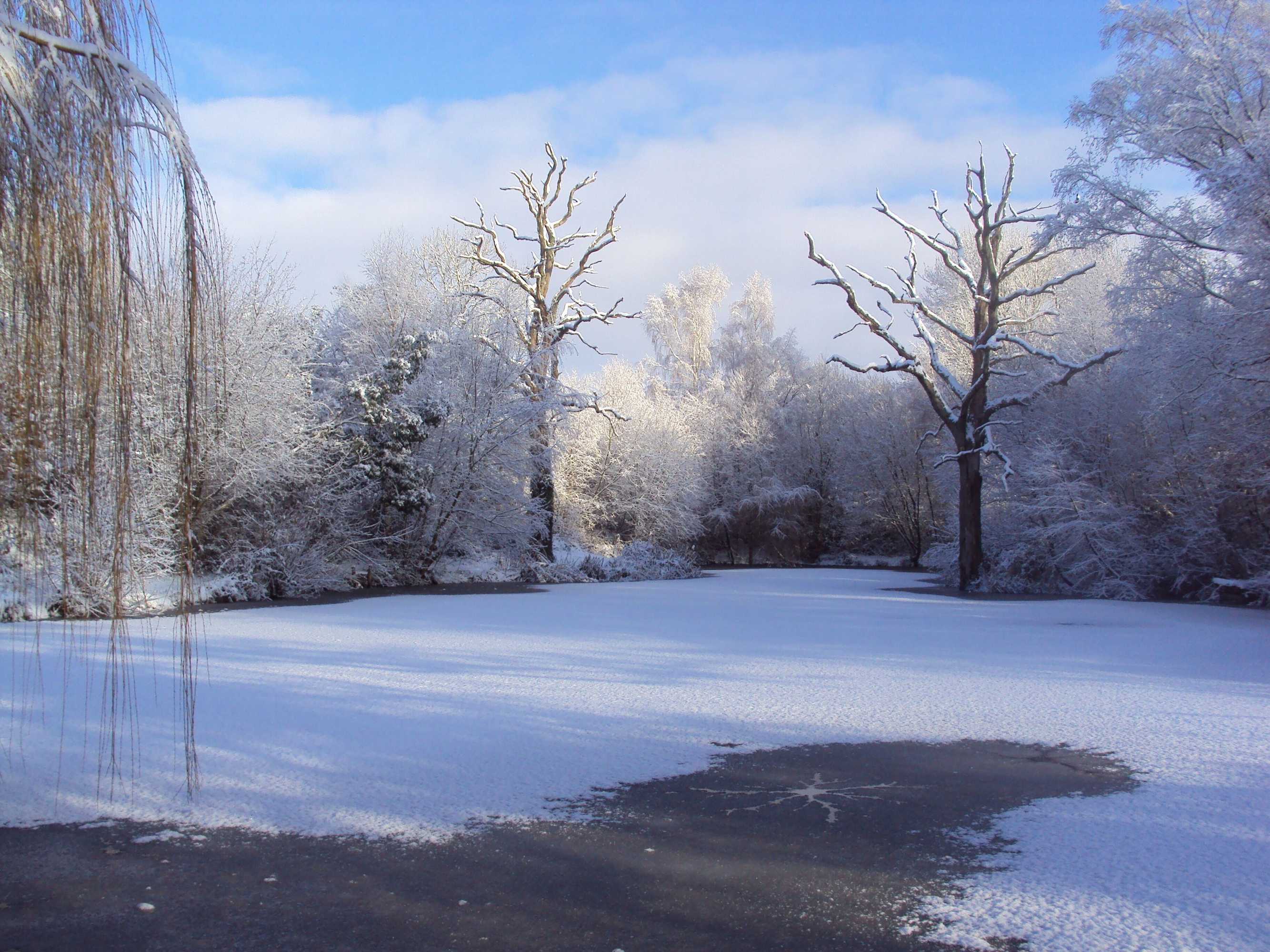 Gift card for New Forest Lodges