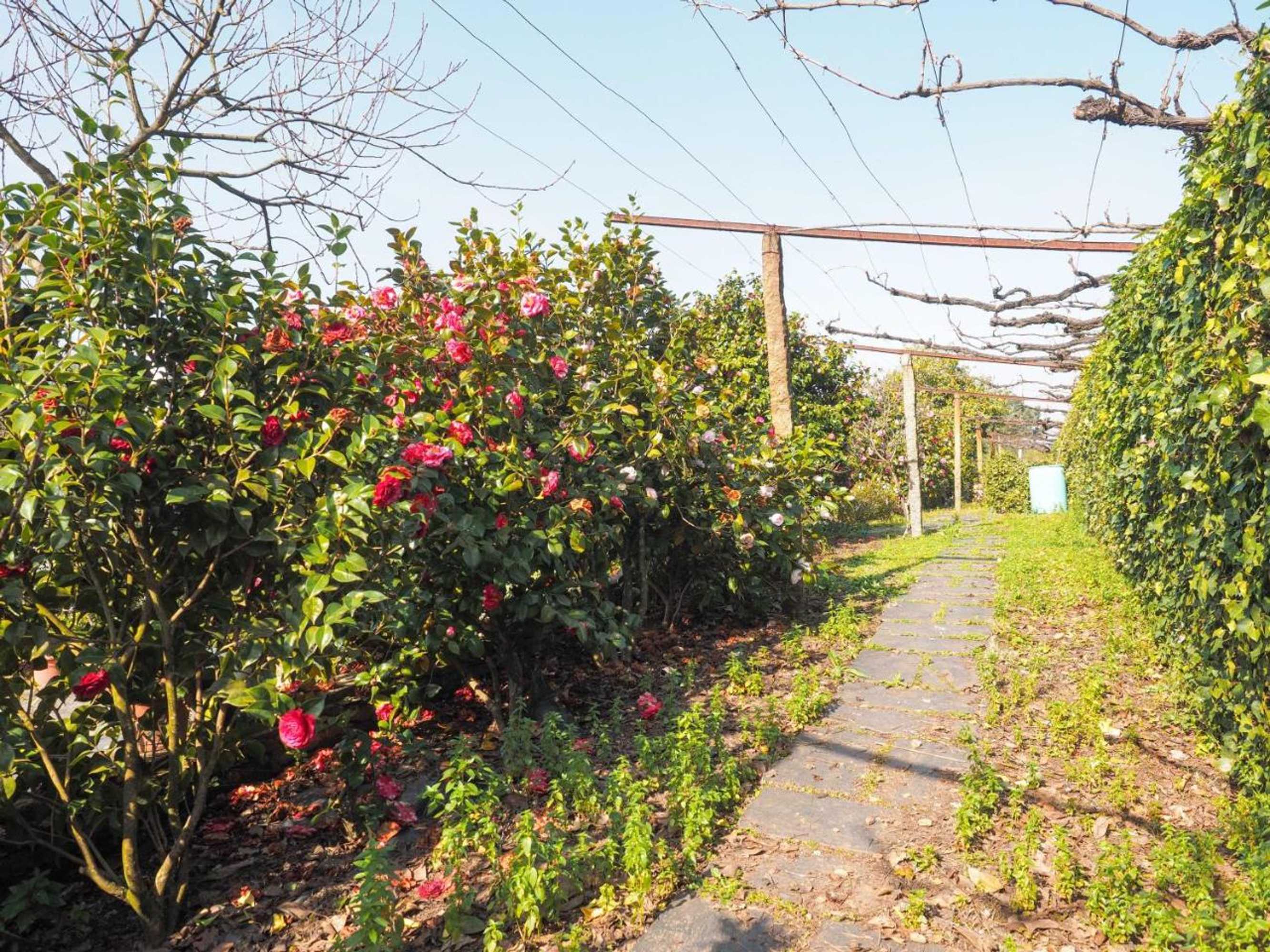 Gift card for Quinta Drº Amarante