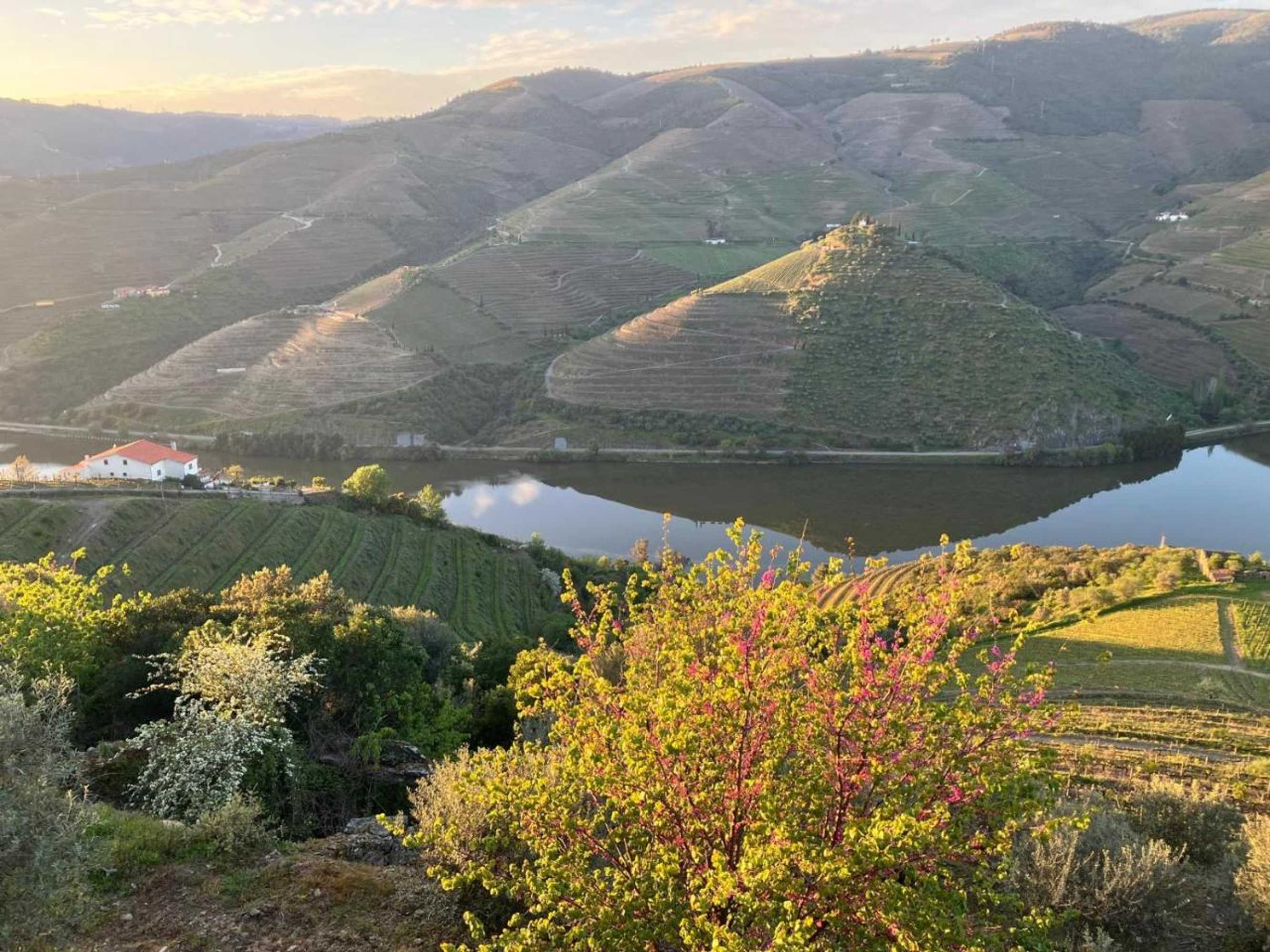 Gift card for Placido Hotel Douro - Tabuaco