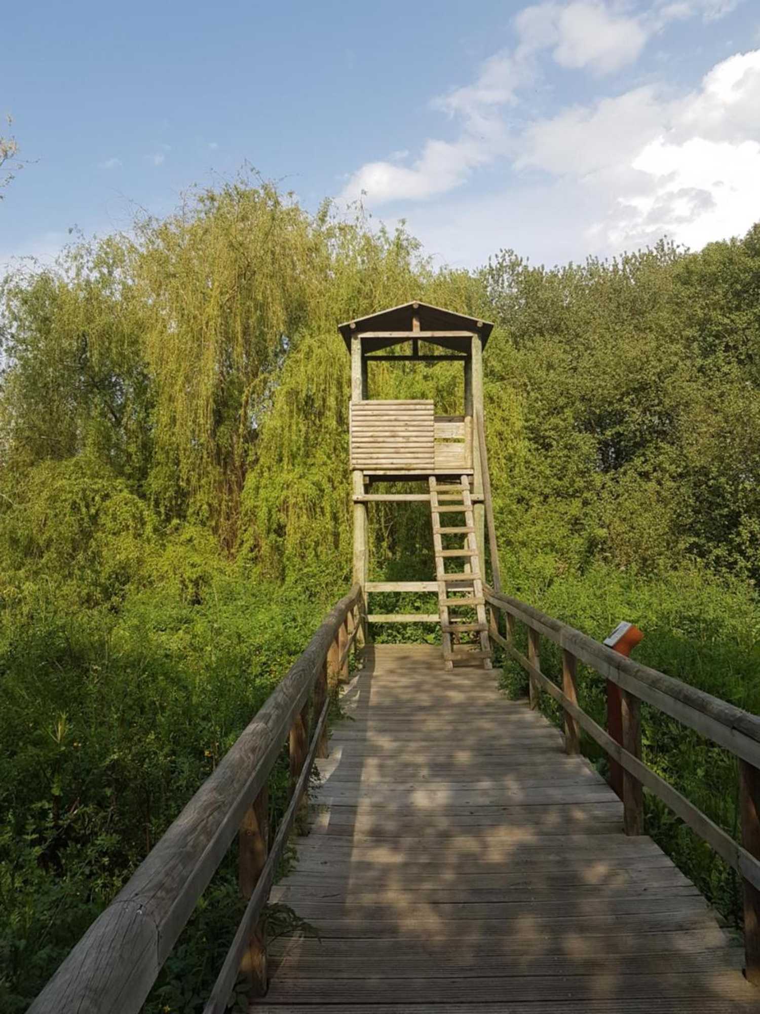 Gift card for Ulfilanis Vila