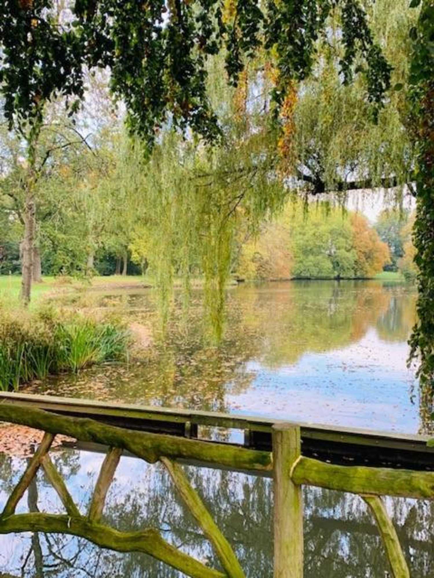 Gift card for @thelodge