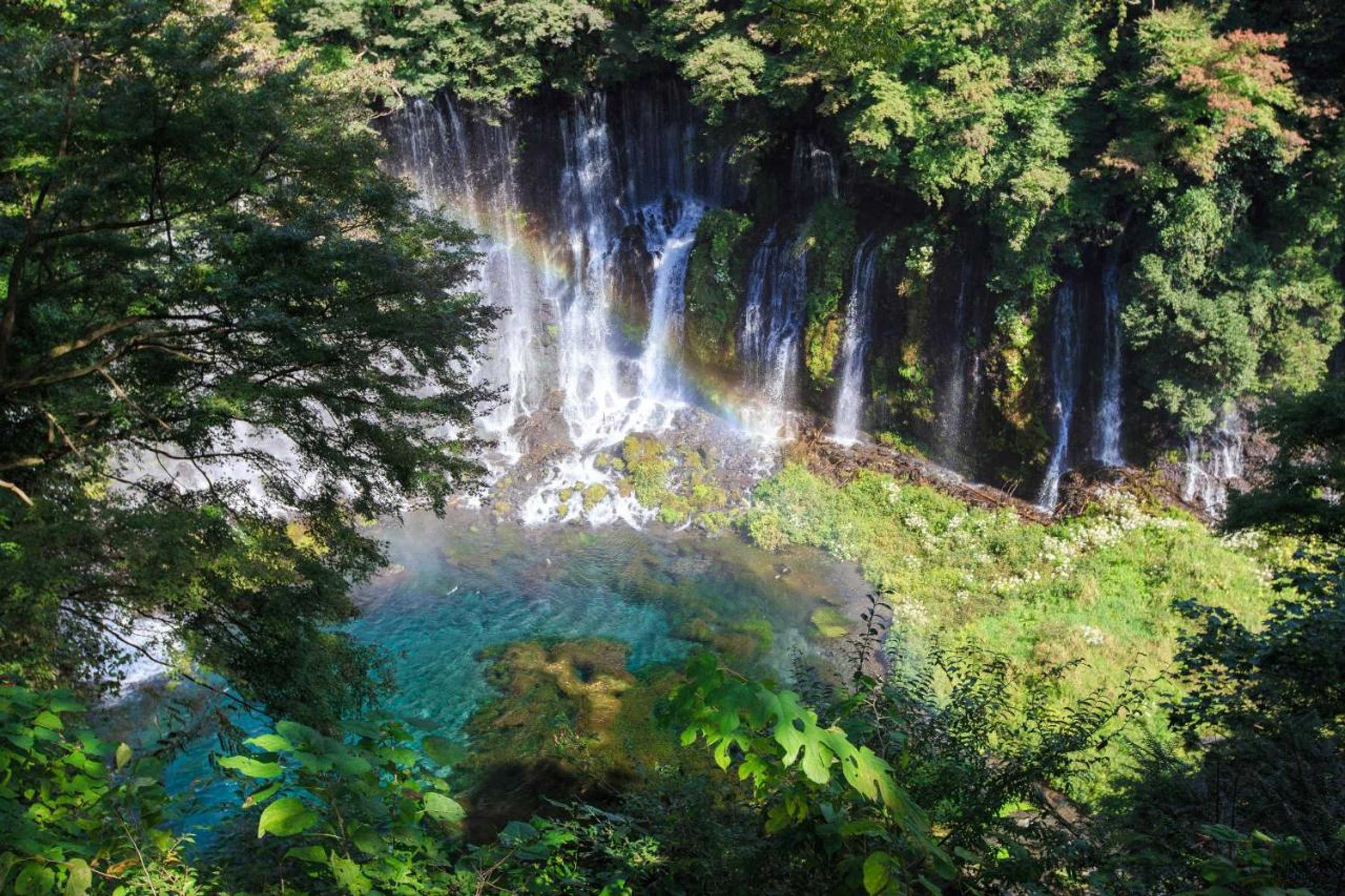 Gift card for Goten Tomoe Residence