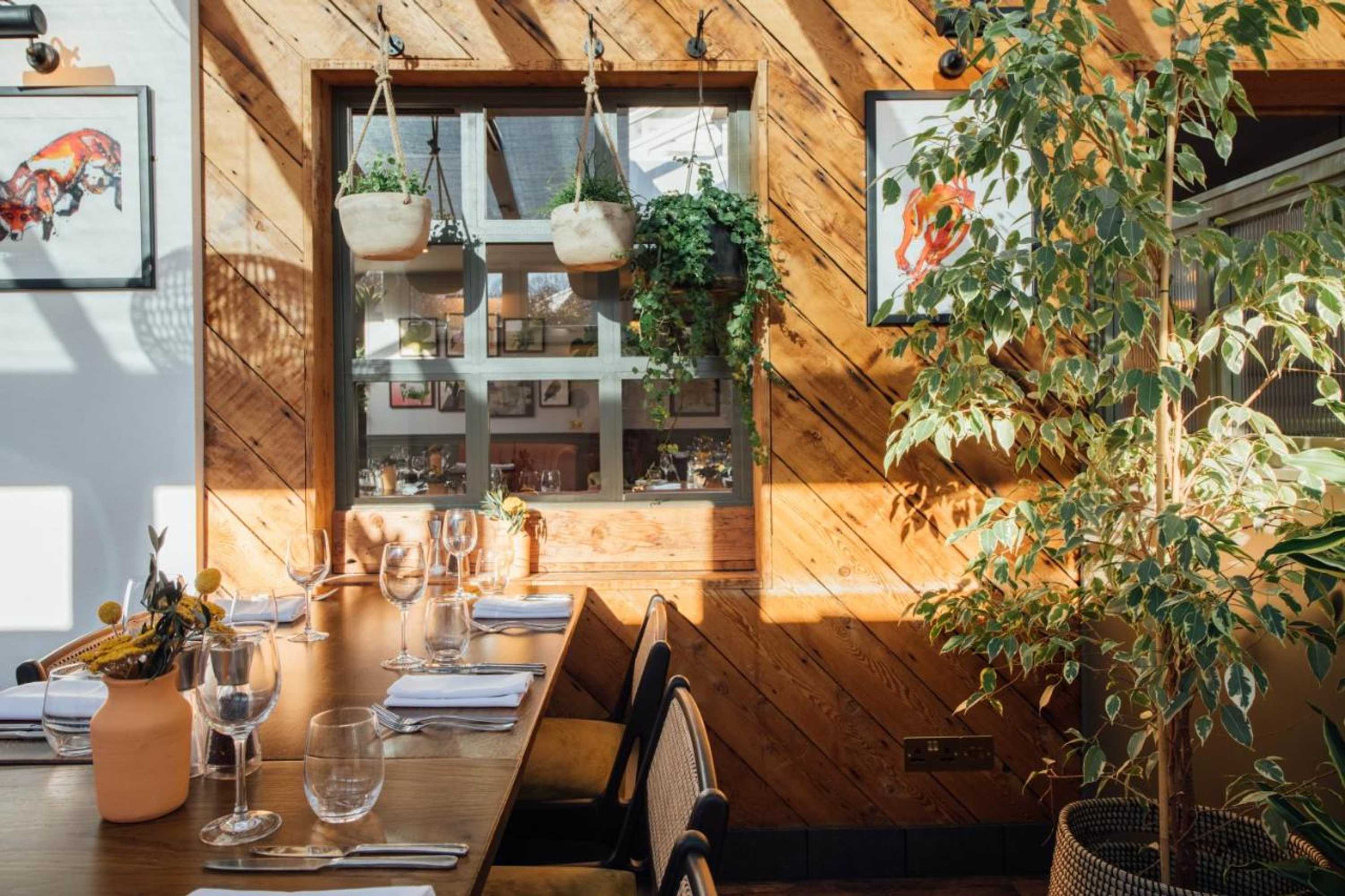 Gift card for The Fox at Willian