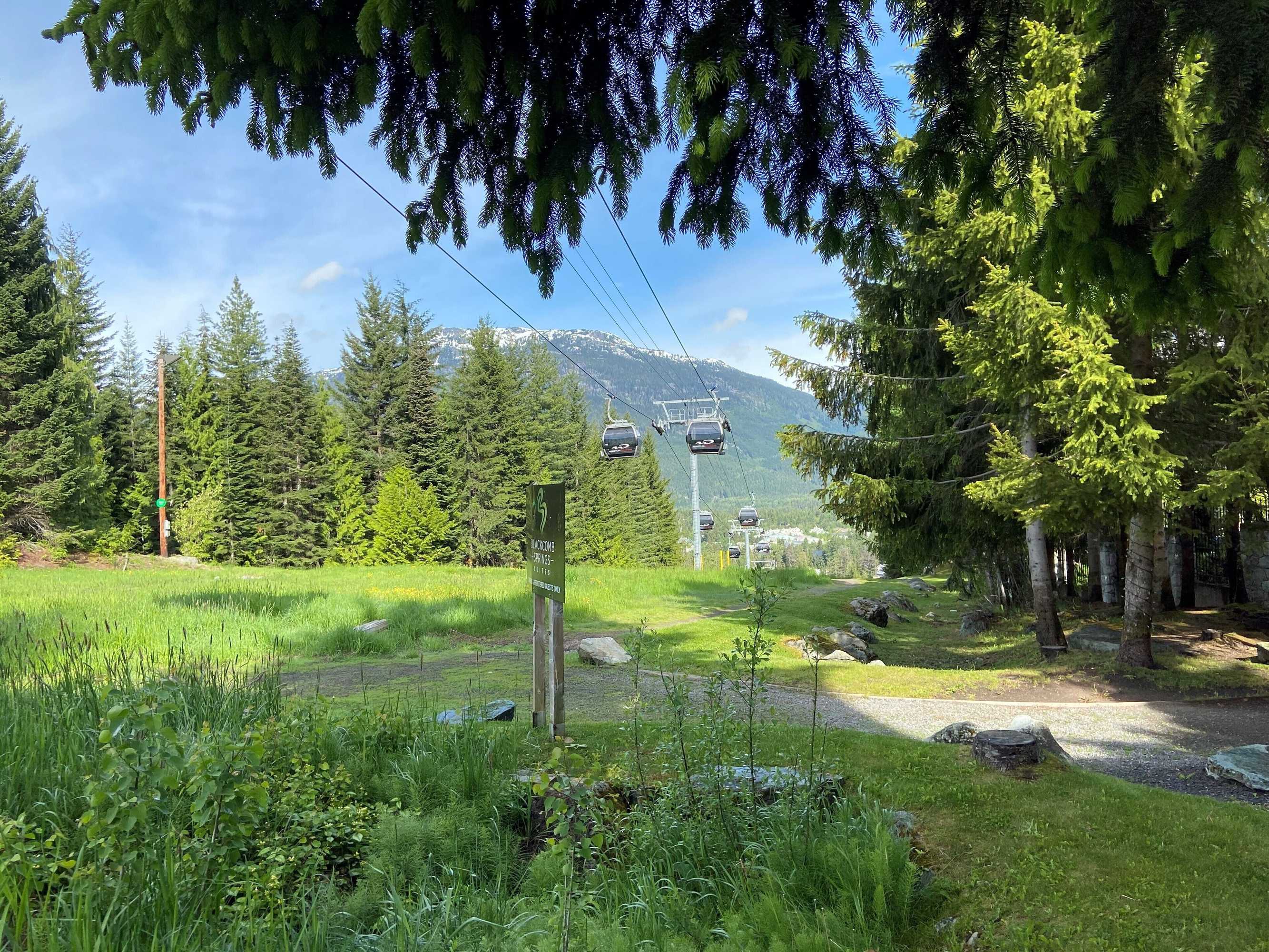 Gift card for Blackcomb Springs Suites by Clique Gift card for Blackcomb Springs Suites by Clique