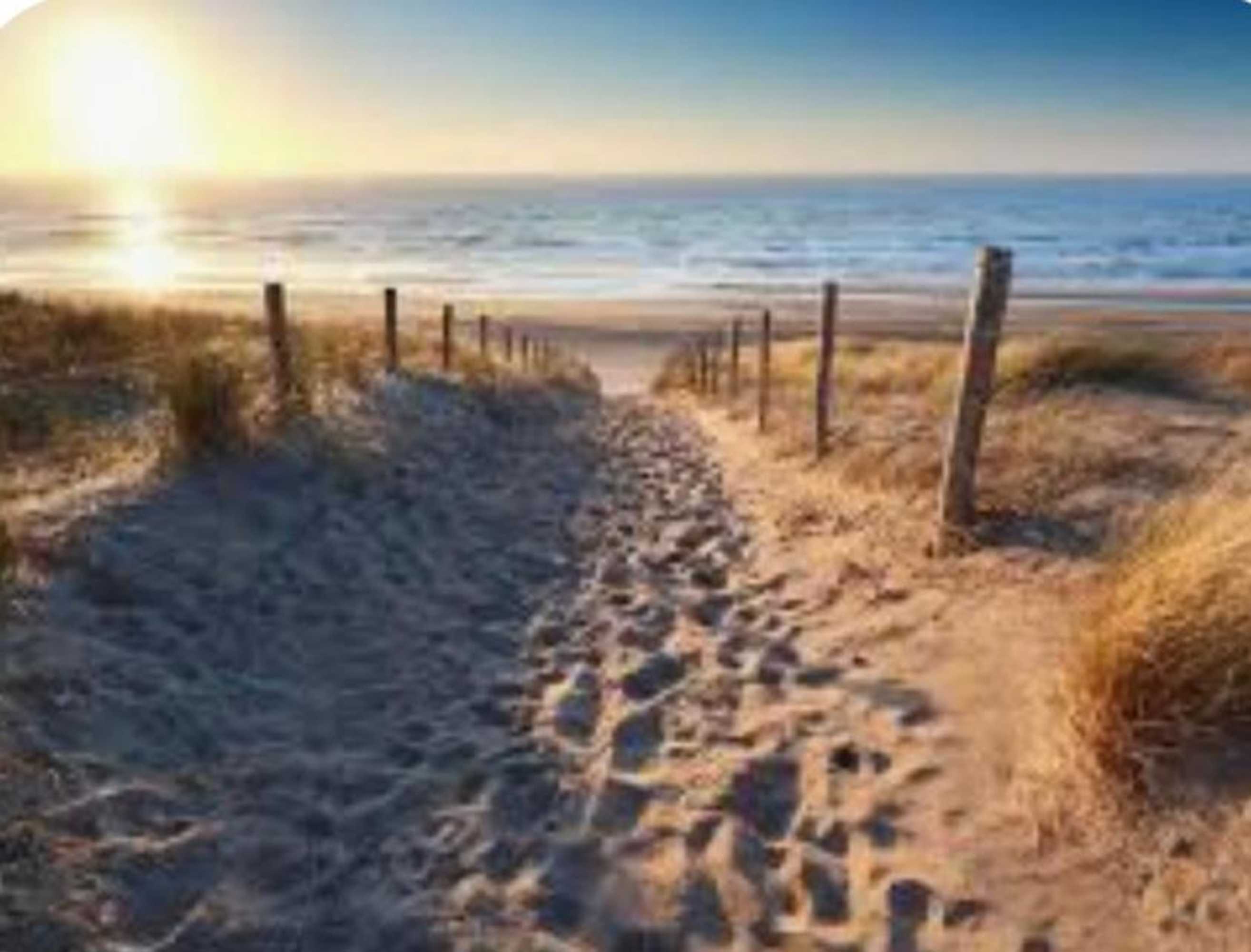 Gift card for Huisje Finn Park de Horn