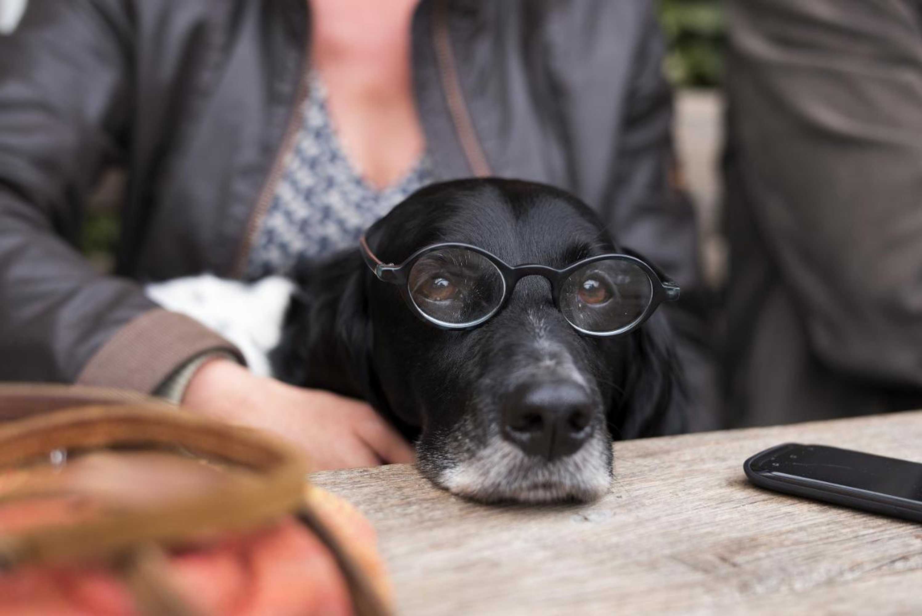 Gift card for Hotel Restaurant Oortjeshekken