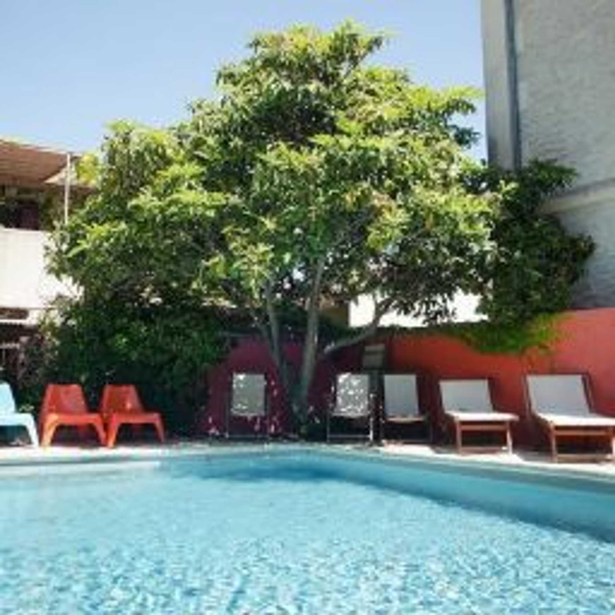 Gift card for Hôtel Sous Les Figuiers - Piscine, Parking, Centre Ville Gift card for Hôtel Sous Les Figuiers - Piscine, Parking, Centre Ville