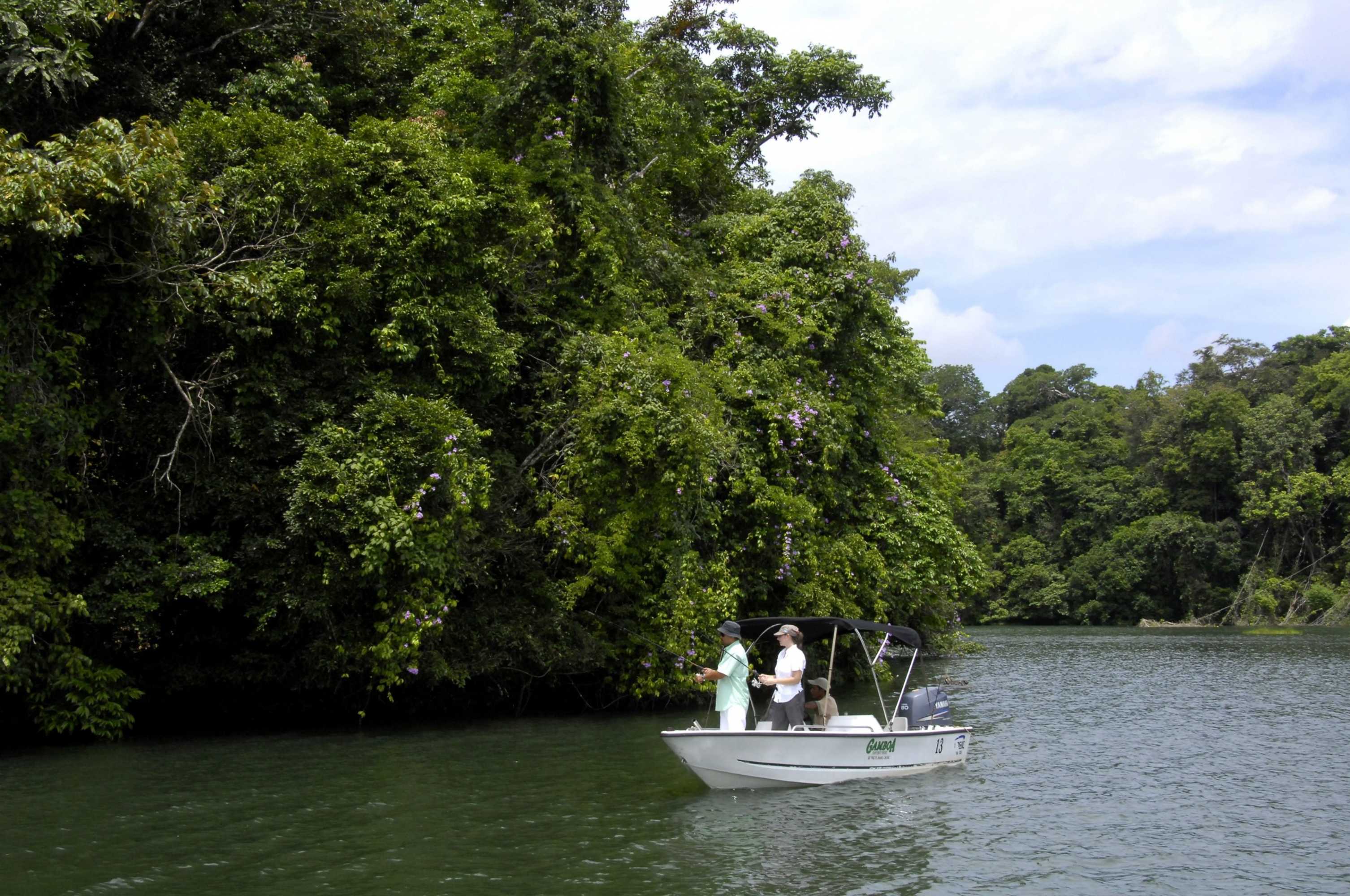 Gift card for Gamboa Rainforest Reserve Gift card for Gamboa Rainforest Reserve