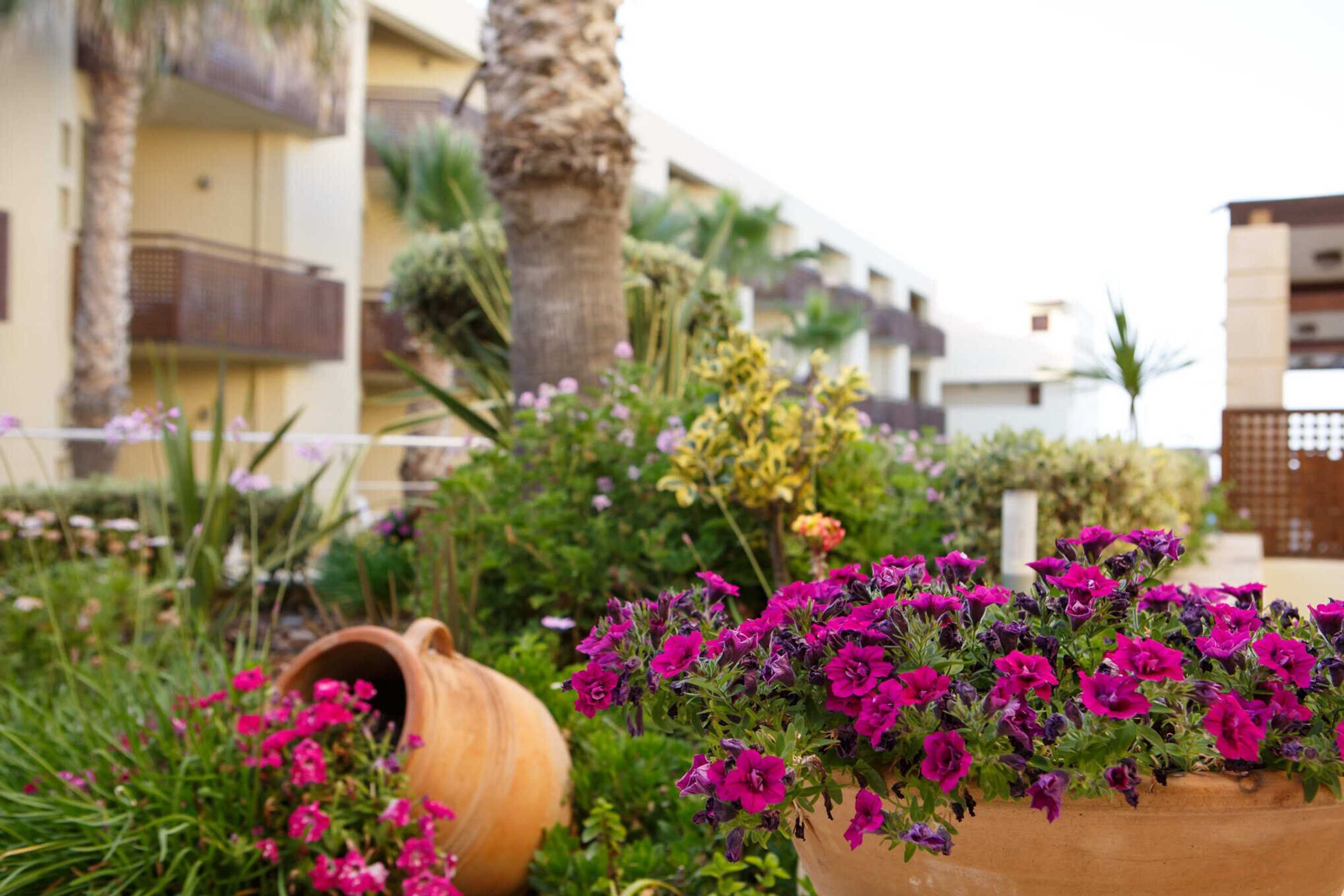 Gift card for Giannoulis Santa Marina Plaza Gift card for Giannoulis Santa Marina Plaza