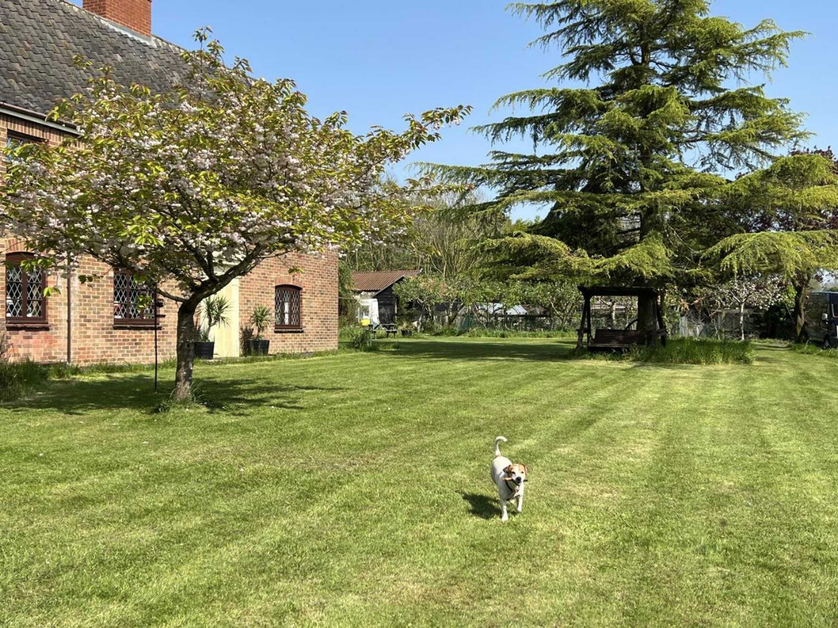 Gift card for Strenneth