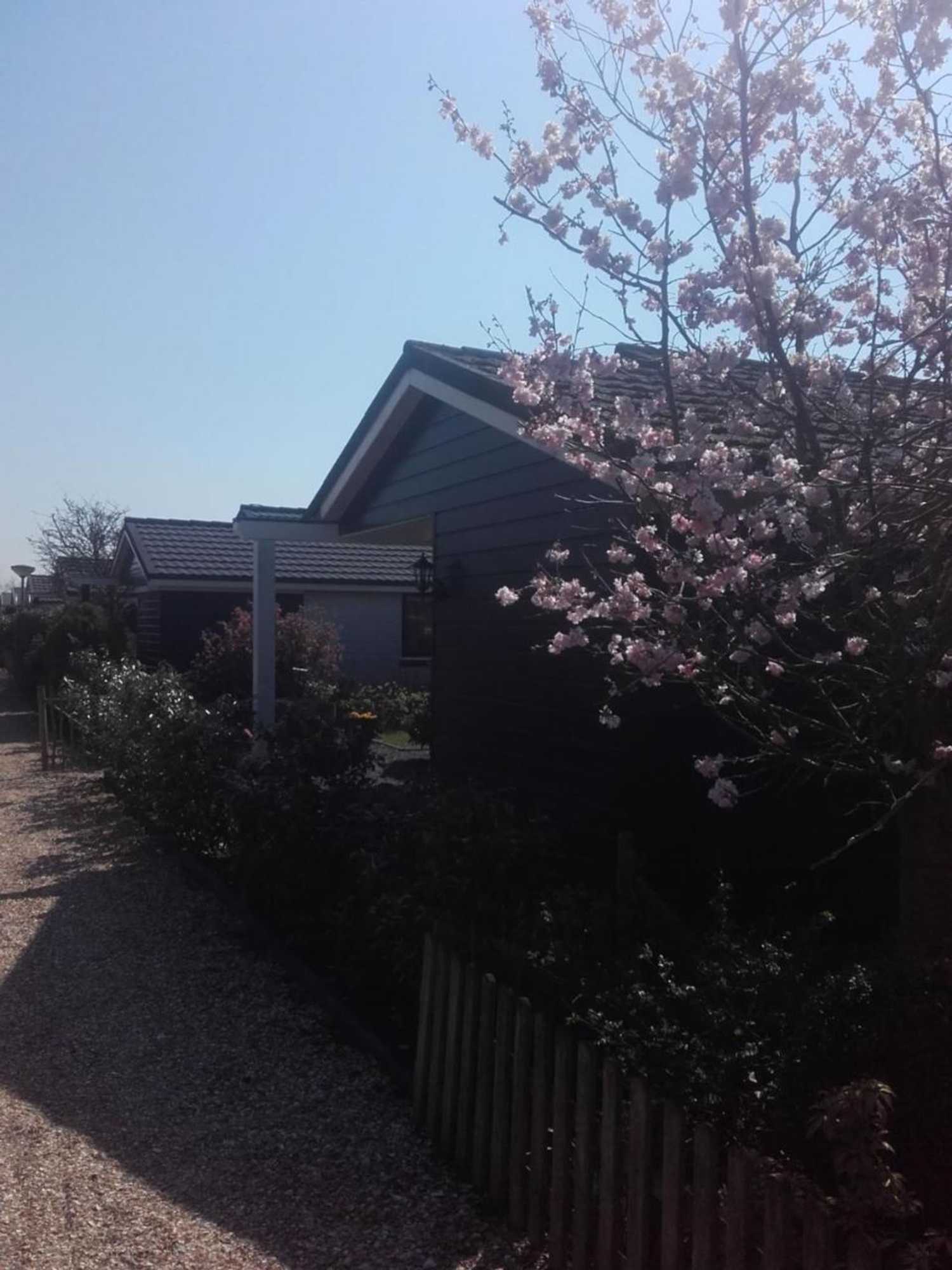 Gift card for Cosy Petten, Family Only