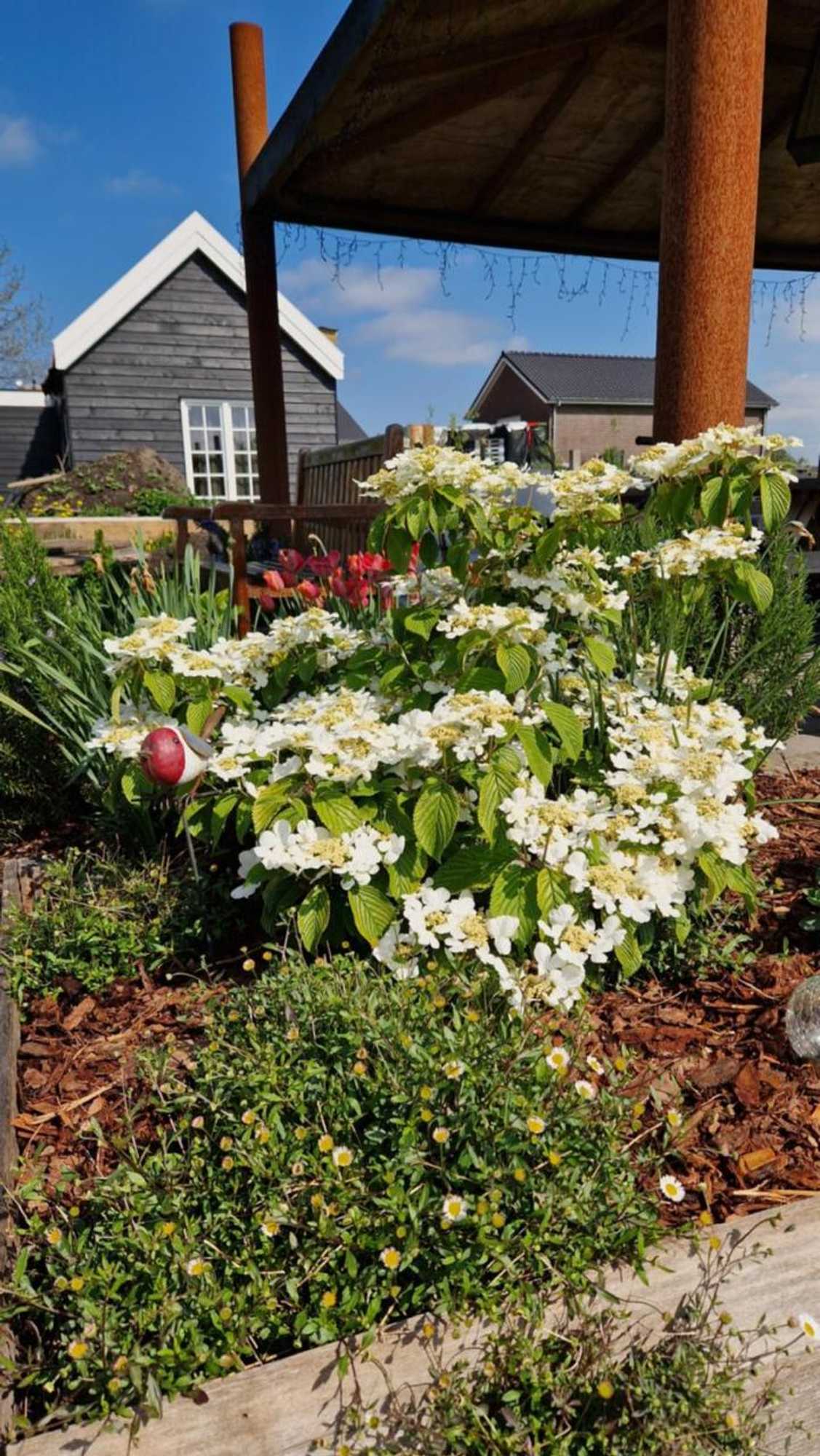 Gift card for Bed en Breakfast Donna