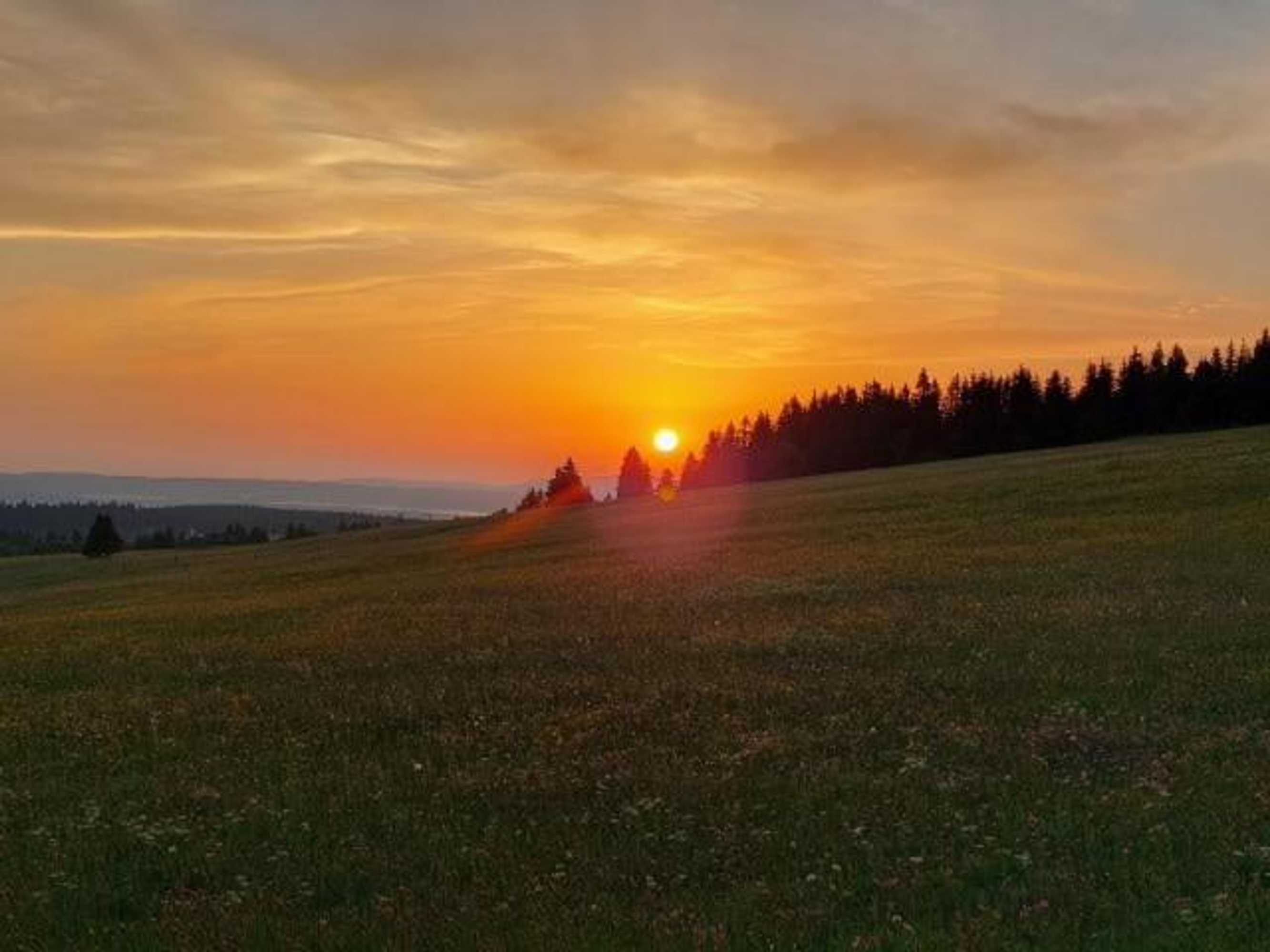 Gift card for Landgasthof Neitsch