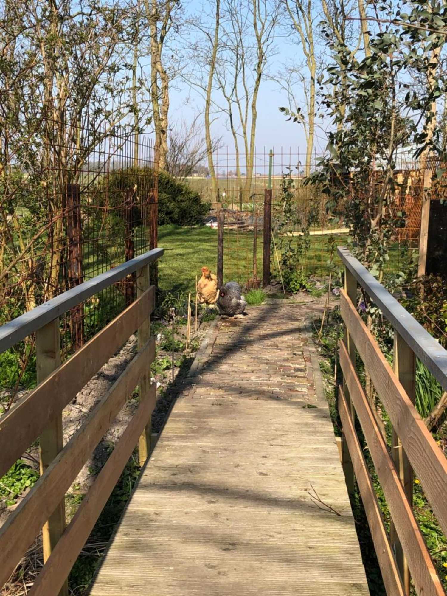 Gift card for Vakantiewoning Vrijburg