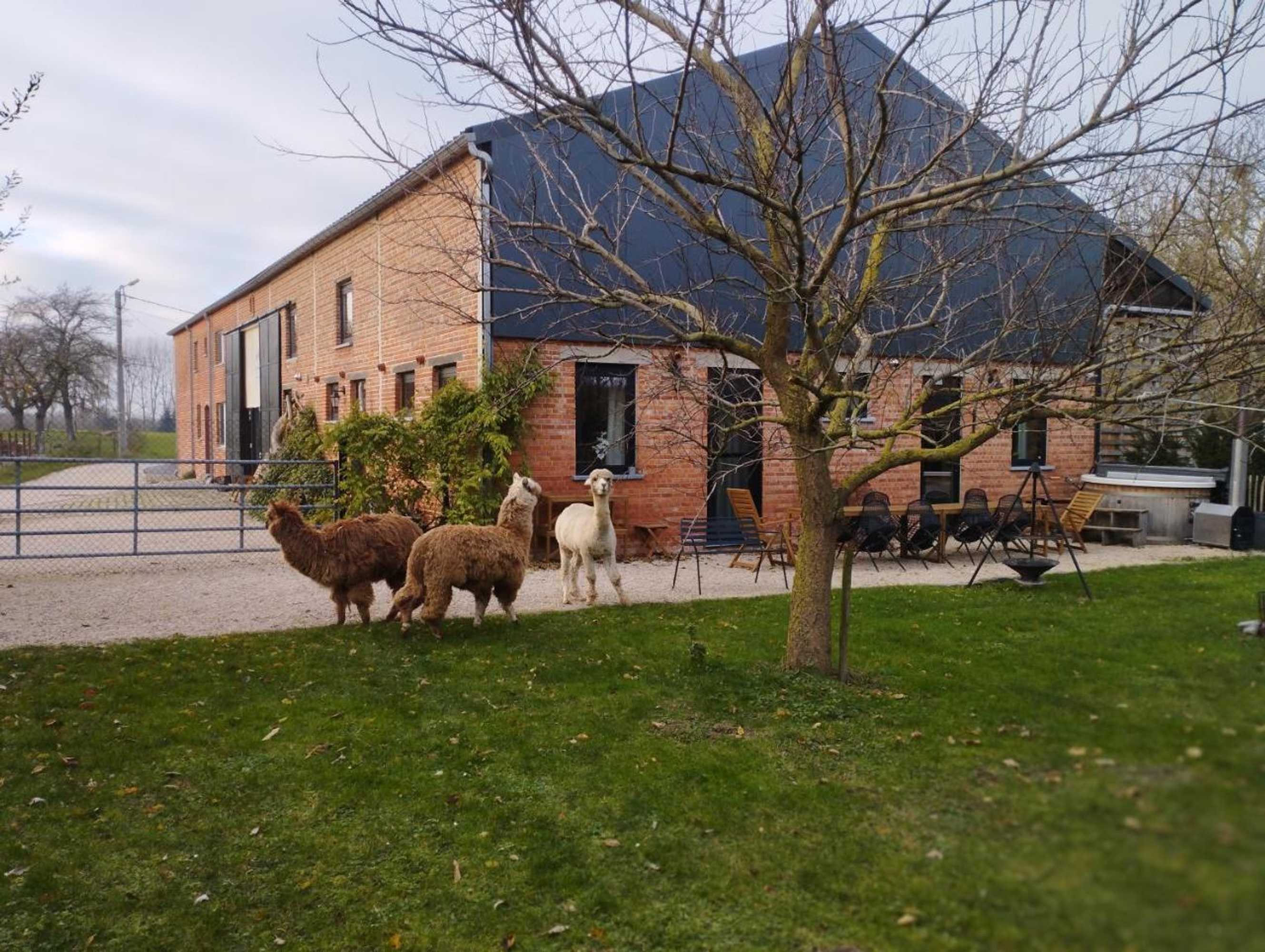 Gift card for DE Smishoeve Met Speelruimte, Dieren en Wellness Gift card for DE Smishoeve Met Speelruimte, Dieren en Wellness