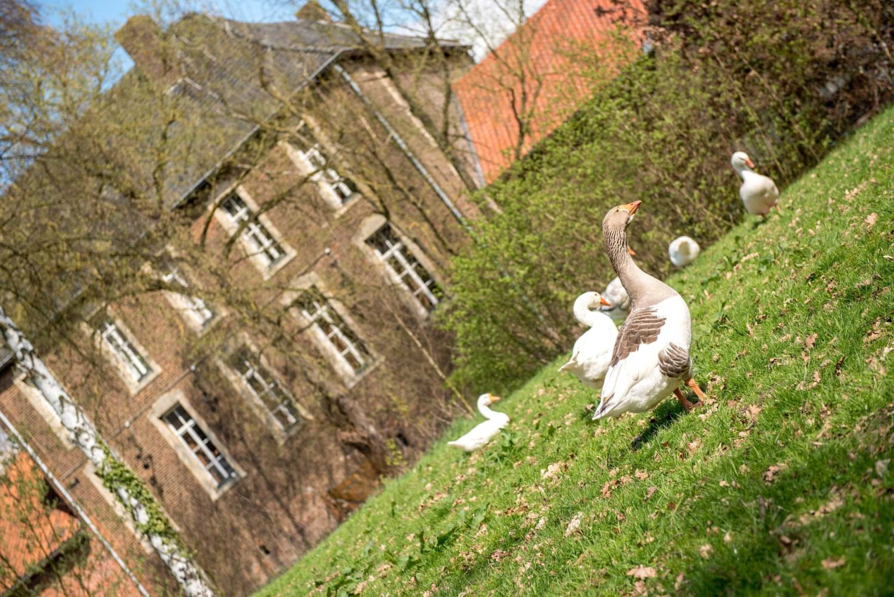 Gift card for Hotel Schinvelder Hoeve Gift card for Hotel Schinvelder Hoeve