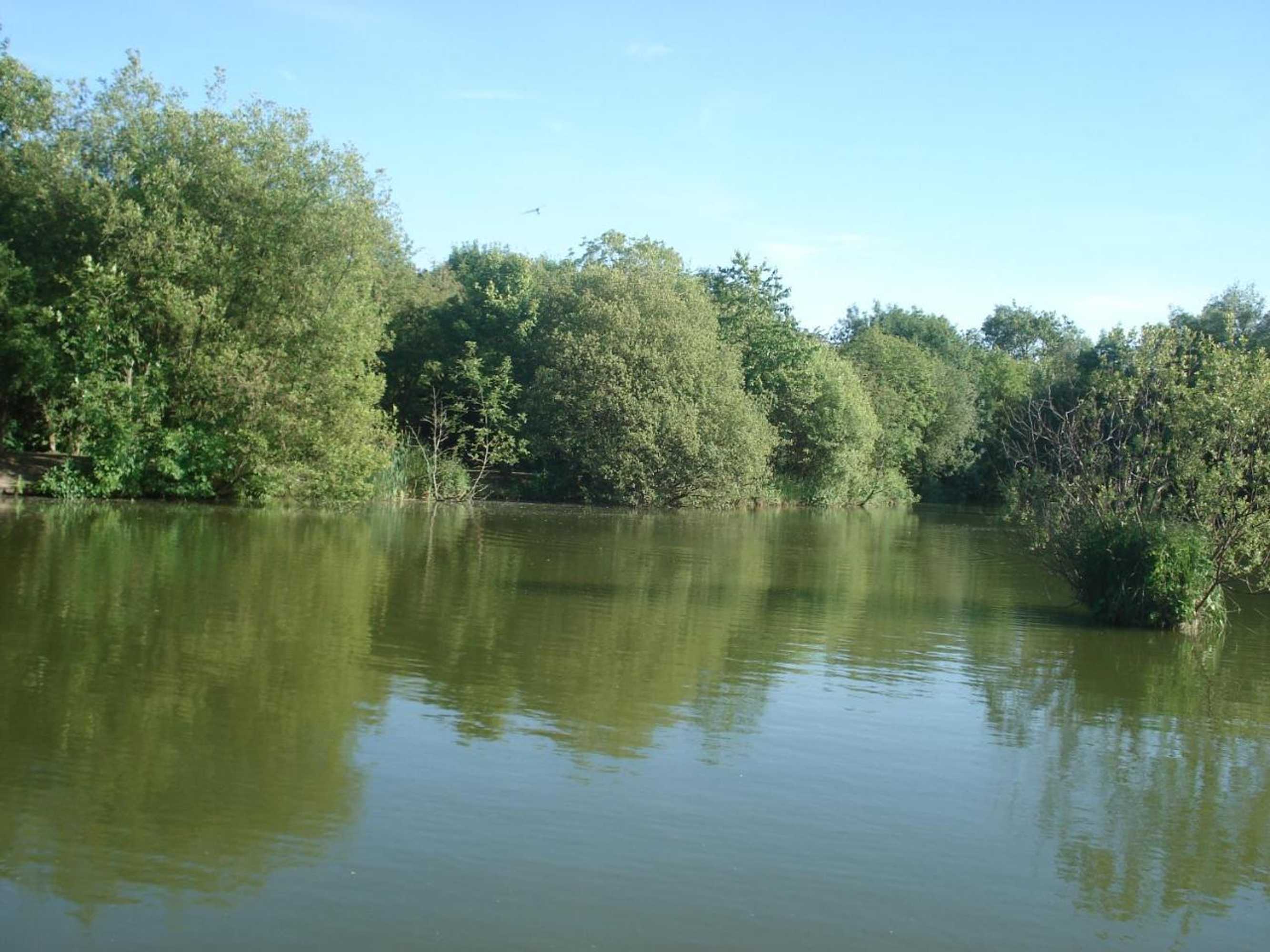 Gift card for Lakeview Holidays