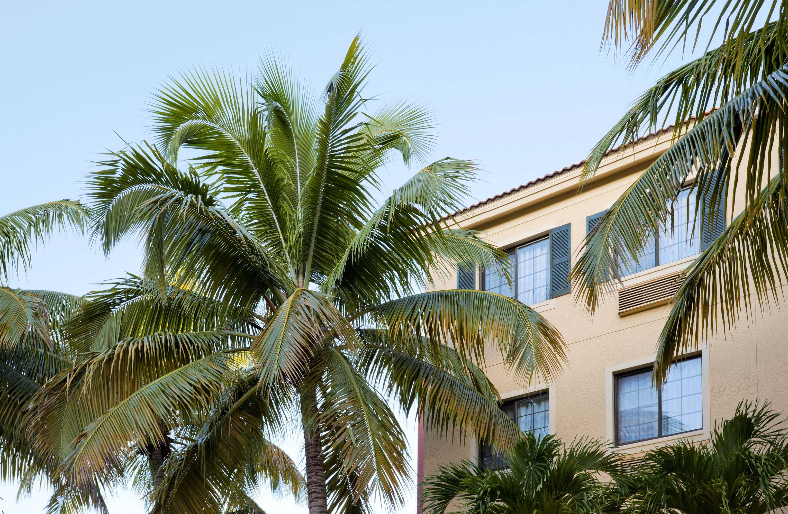 Gift card for Compass Hotel by Margaritaville Naples Gift card for Compass Hotel by Margaritaville Naples