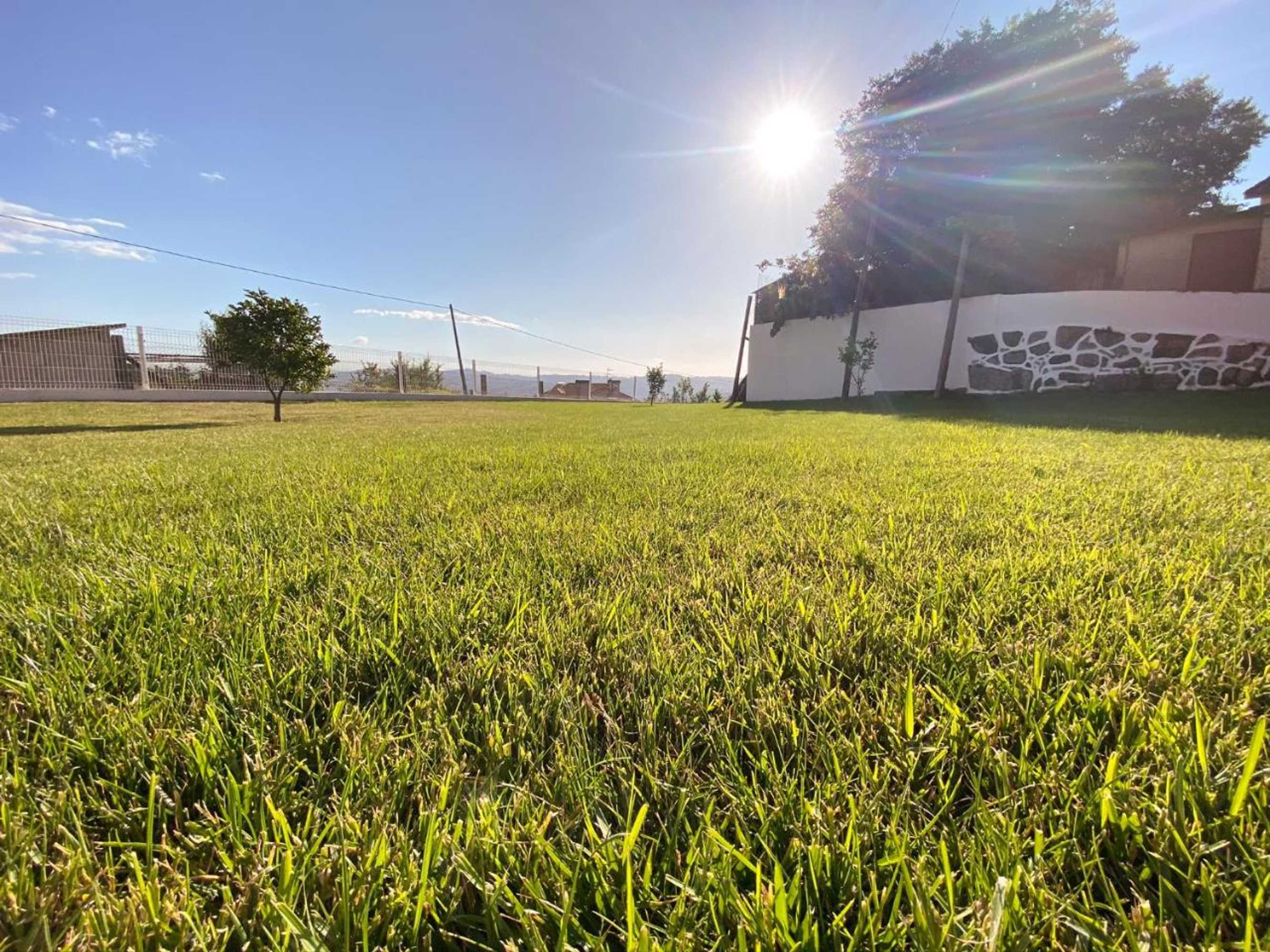 Gift card for Casa Leite