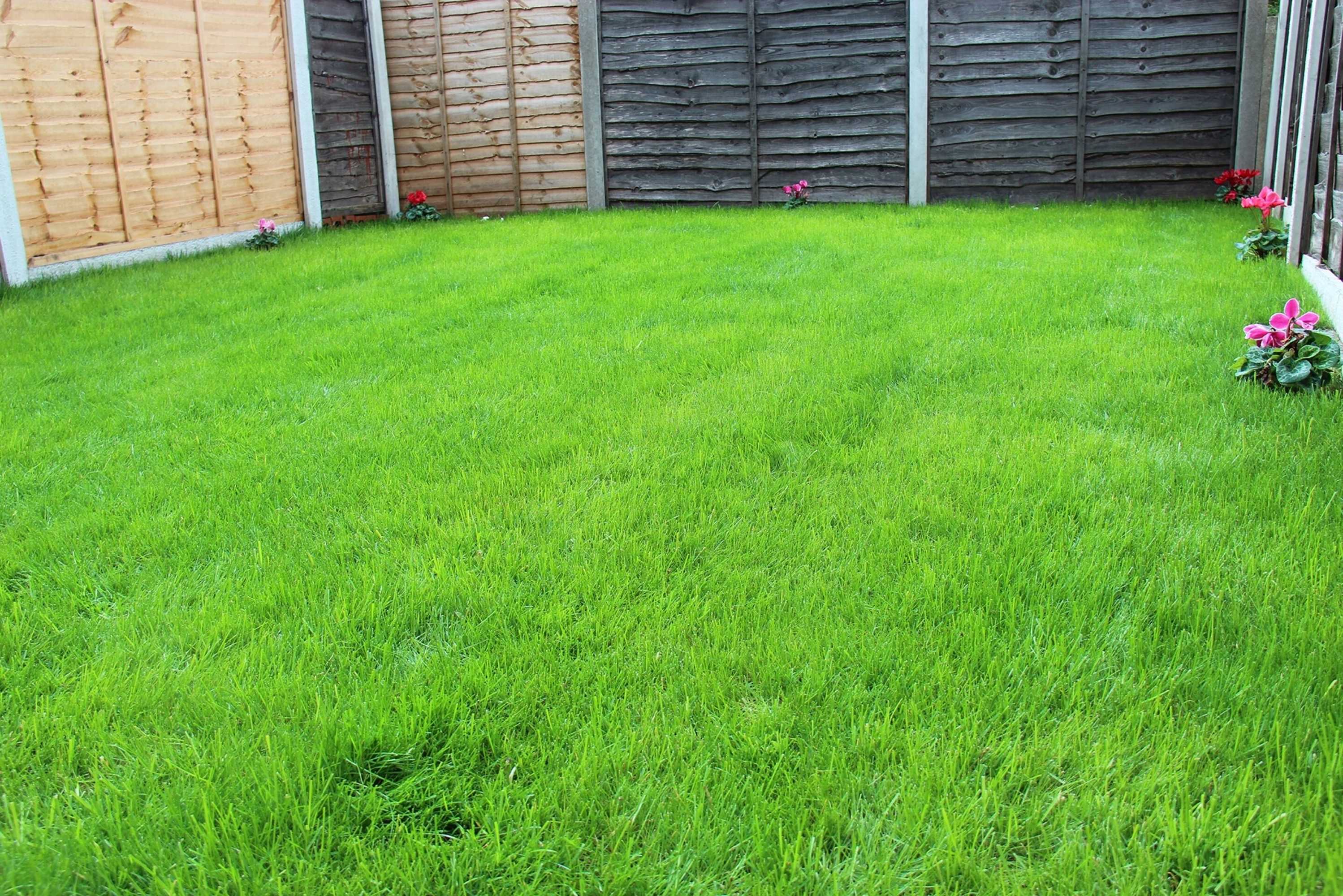 Gift card for Mosh Homes