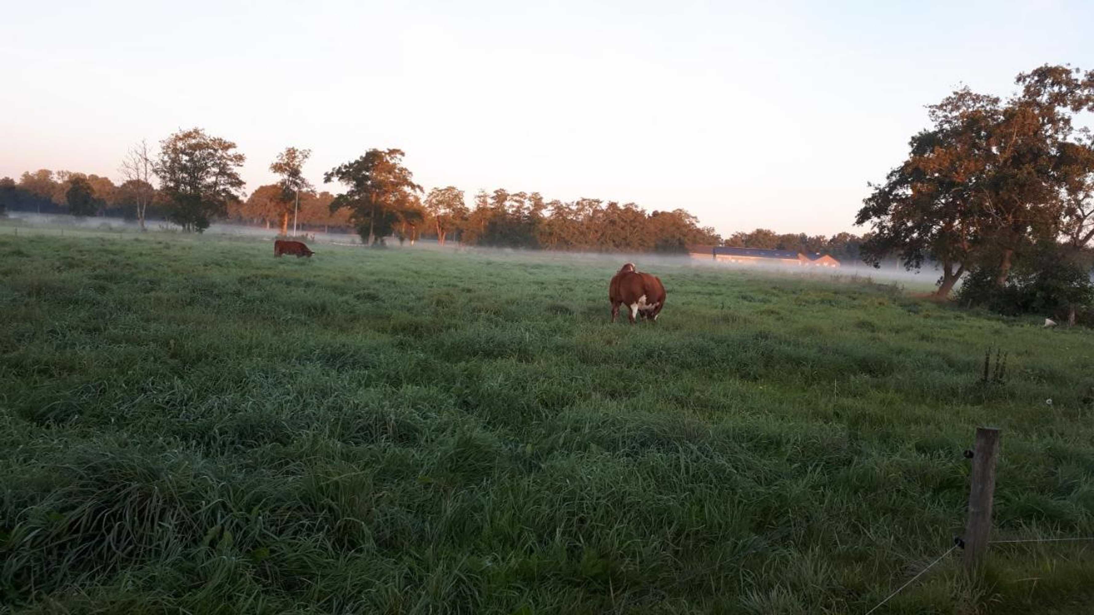 Gift card for Bed & Breakfast El Manso