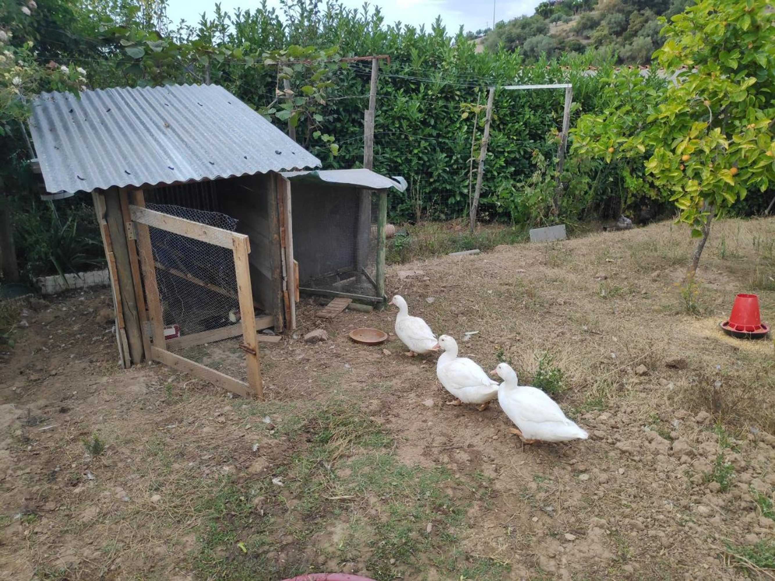 Gift card for Nature Et Al House Gift card for Nature Et Al House