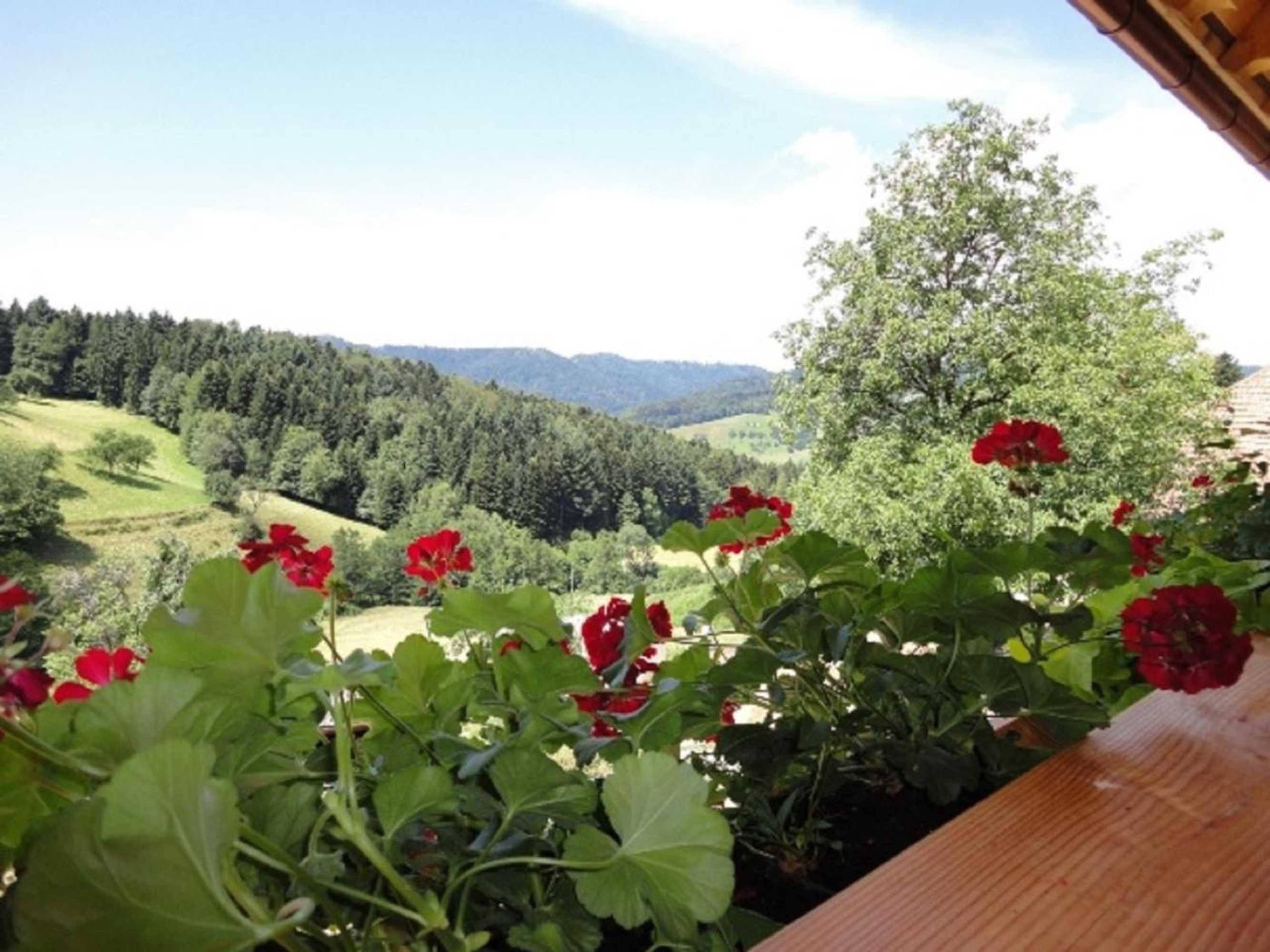 Gift card for Urlaub im Herrenholz - Familie Schwarz