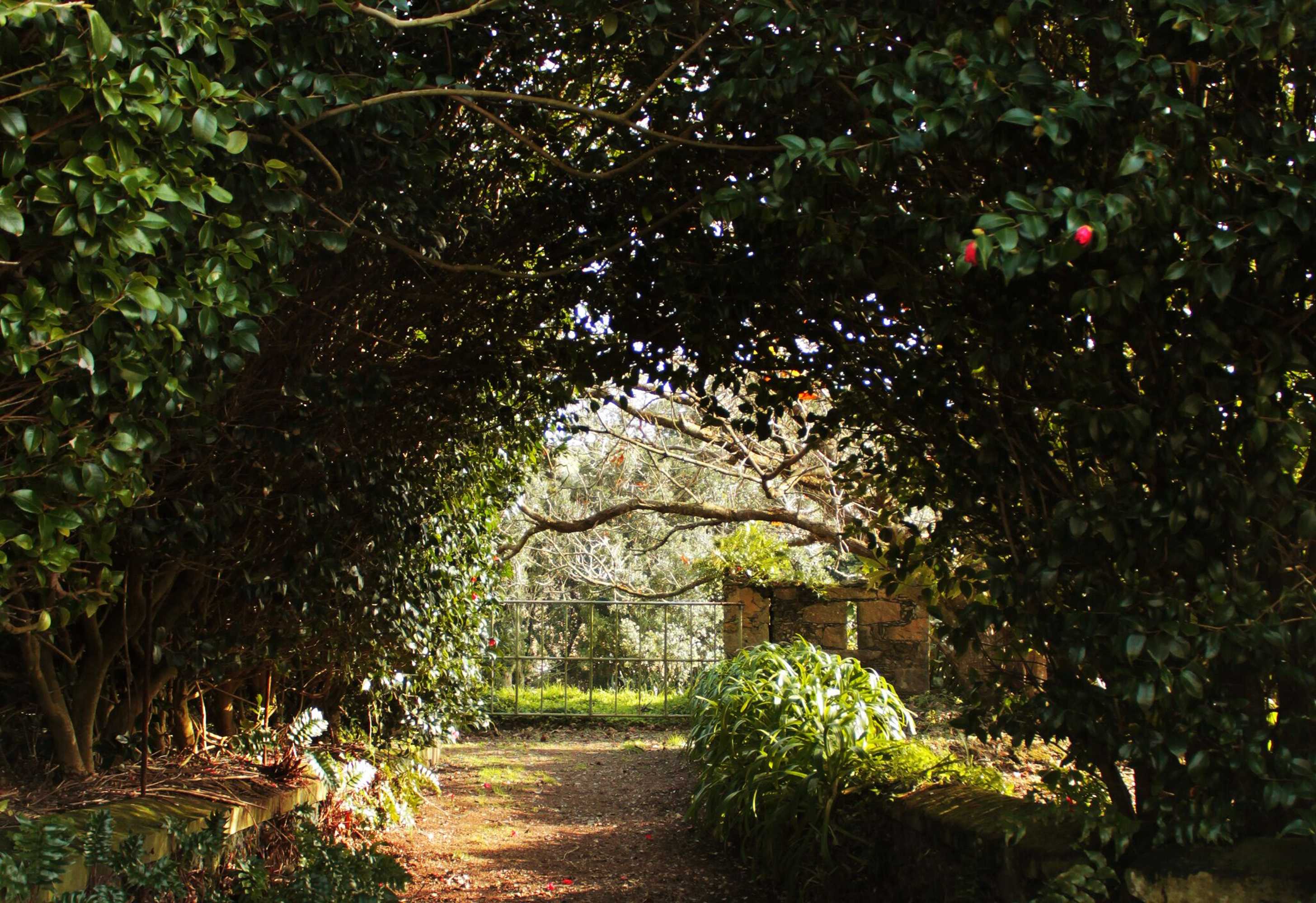 Gift card for Villa Várzea Charming Suite