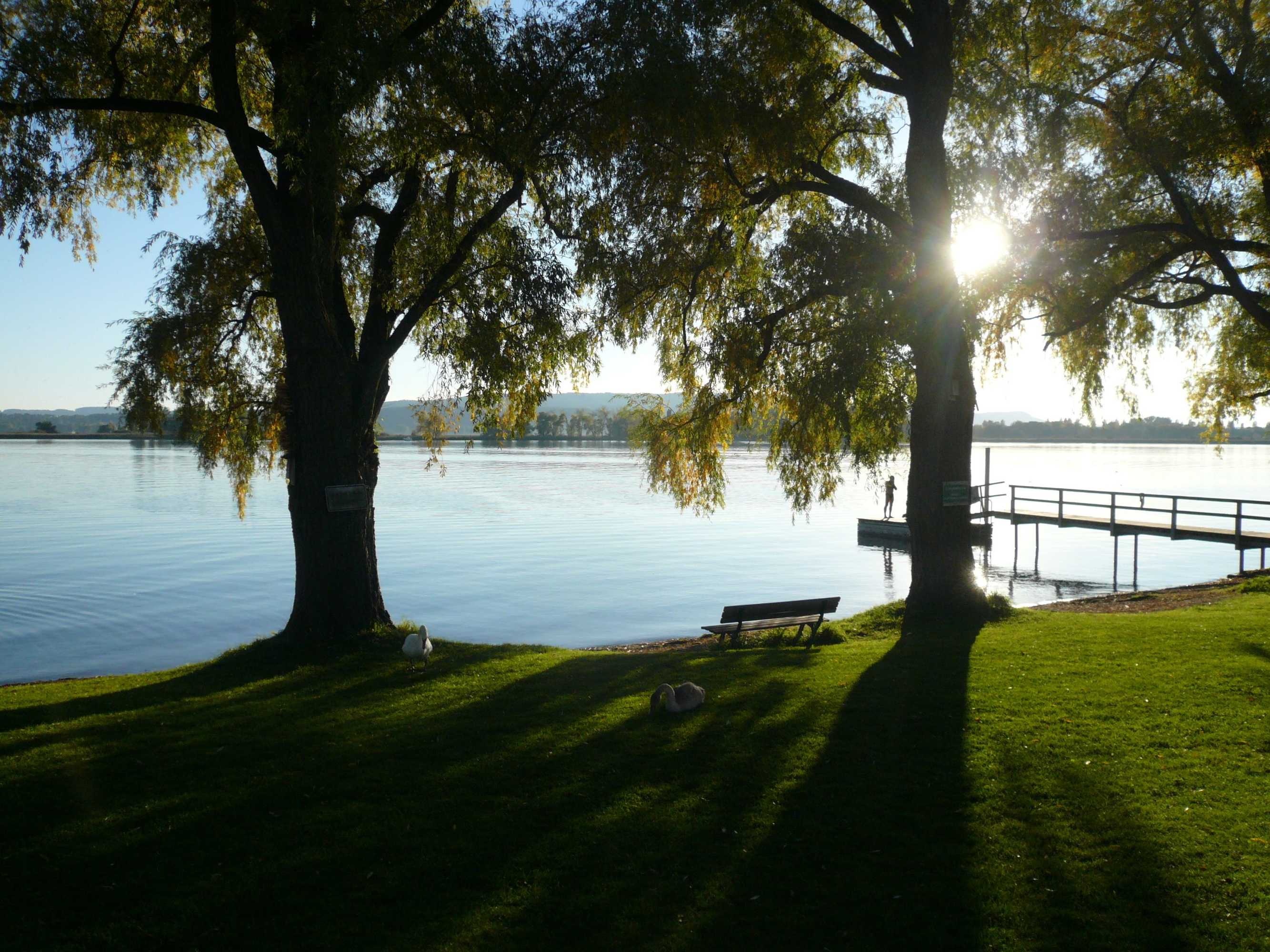 Gift card for Naturfreundehaus Bodensee Gift card for Naturfreundehaus Bodensee