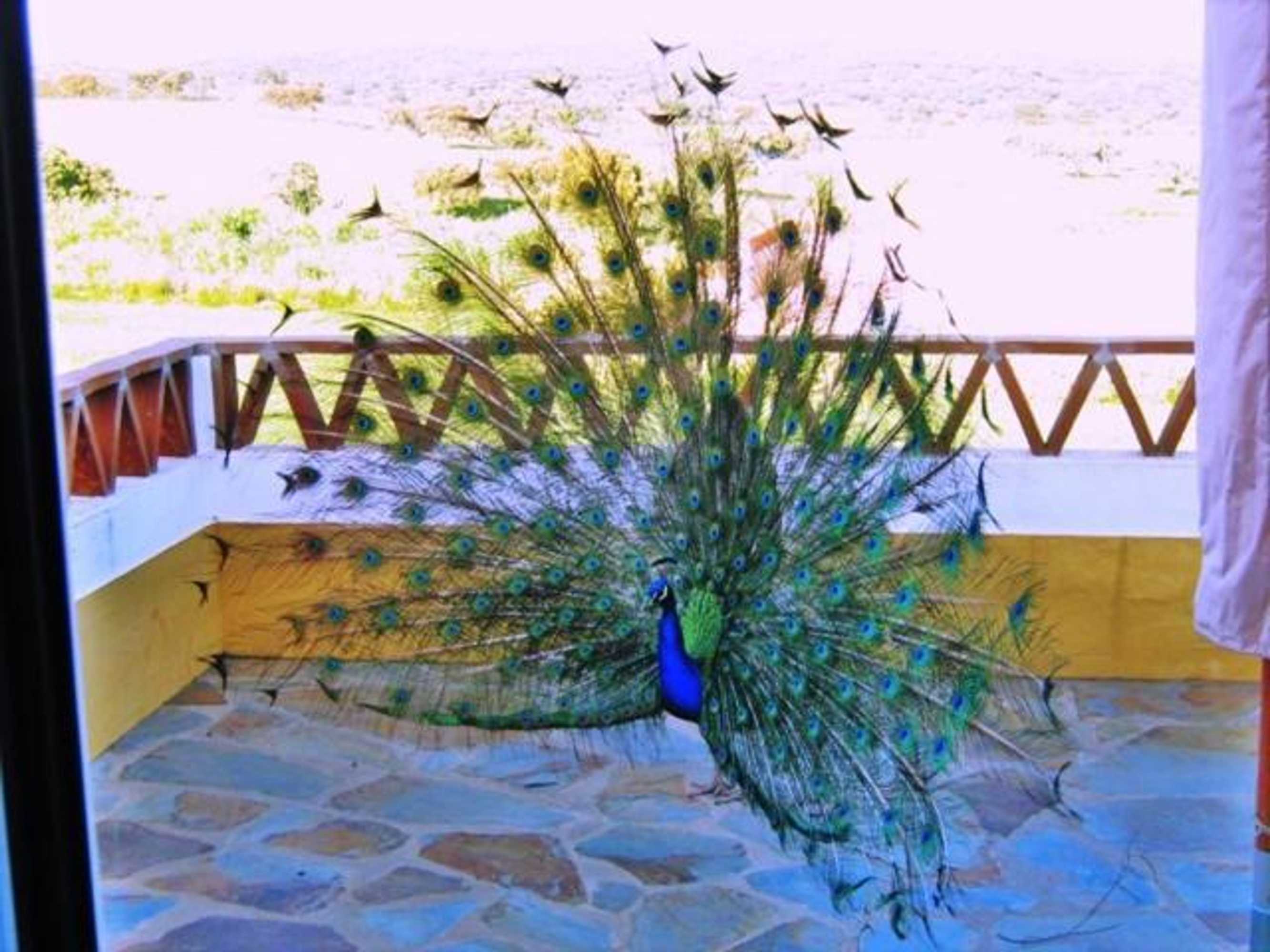 Gift card for Naveterra-Hotel Rural